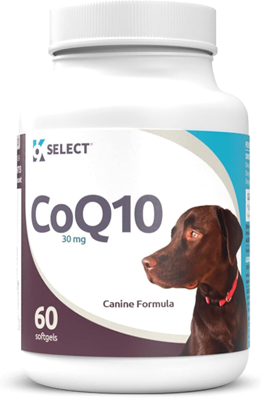 K9 CoQ10 Soft Gel Supplement for Dogs, 30mg - 60 Soft Gels per Bottle - Pet Nutritional Softgels for Heart, Cardiovascular & Gum Health, Energy Boost