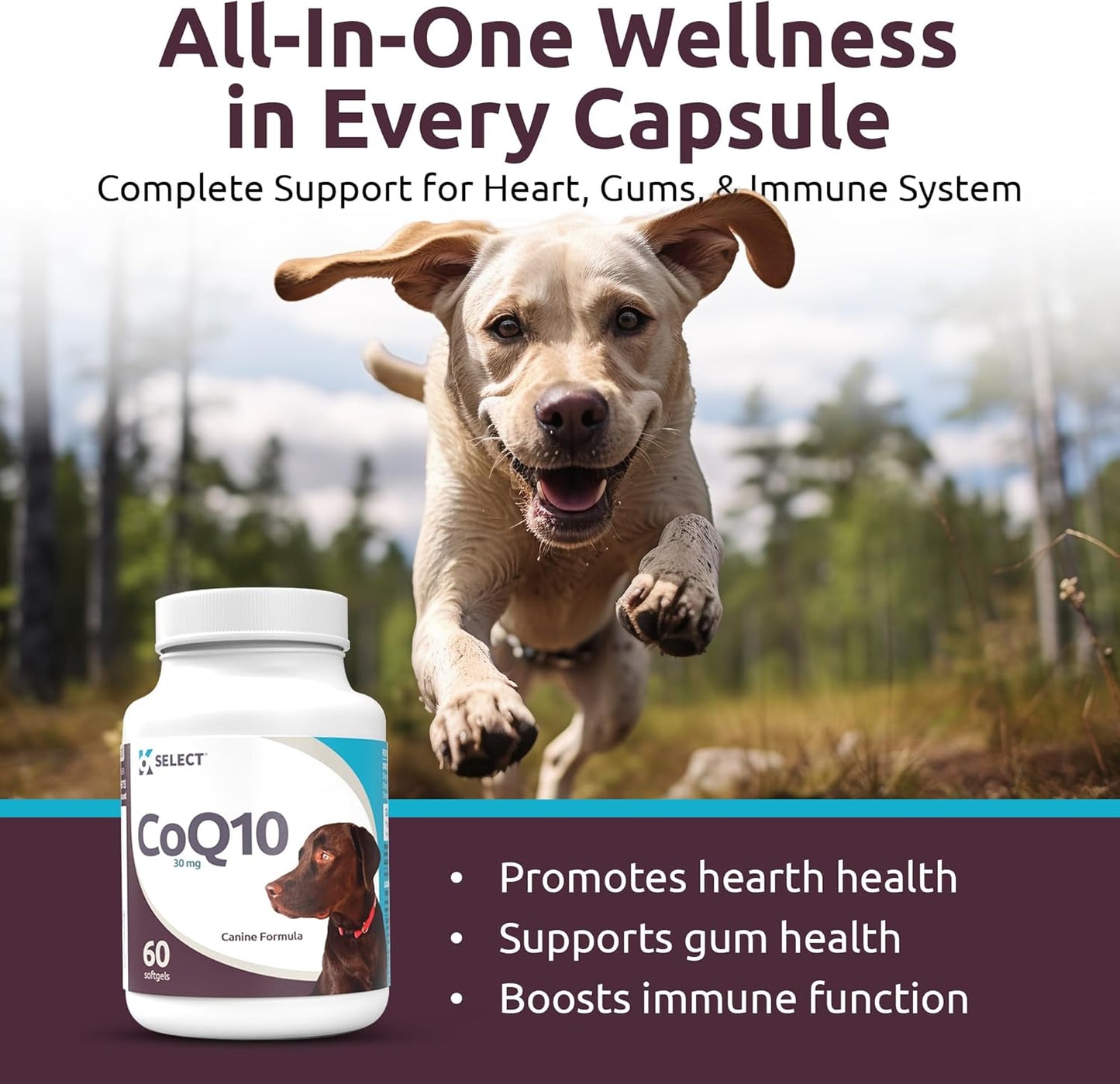 K9 CoQ10 Soft Gel Supplement for Dogs, 30mg - 60 Soft Gels per Bottle - Pet Nutritional Softgels for Heart, Cardiovascular & Gum Health, Energy Boost