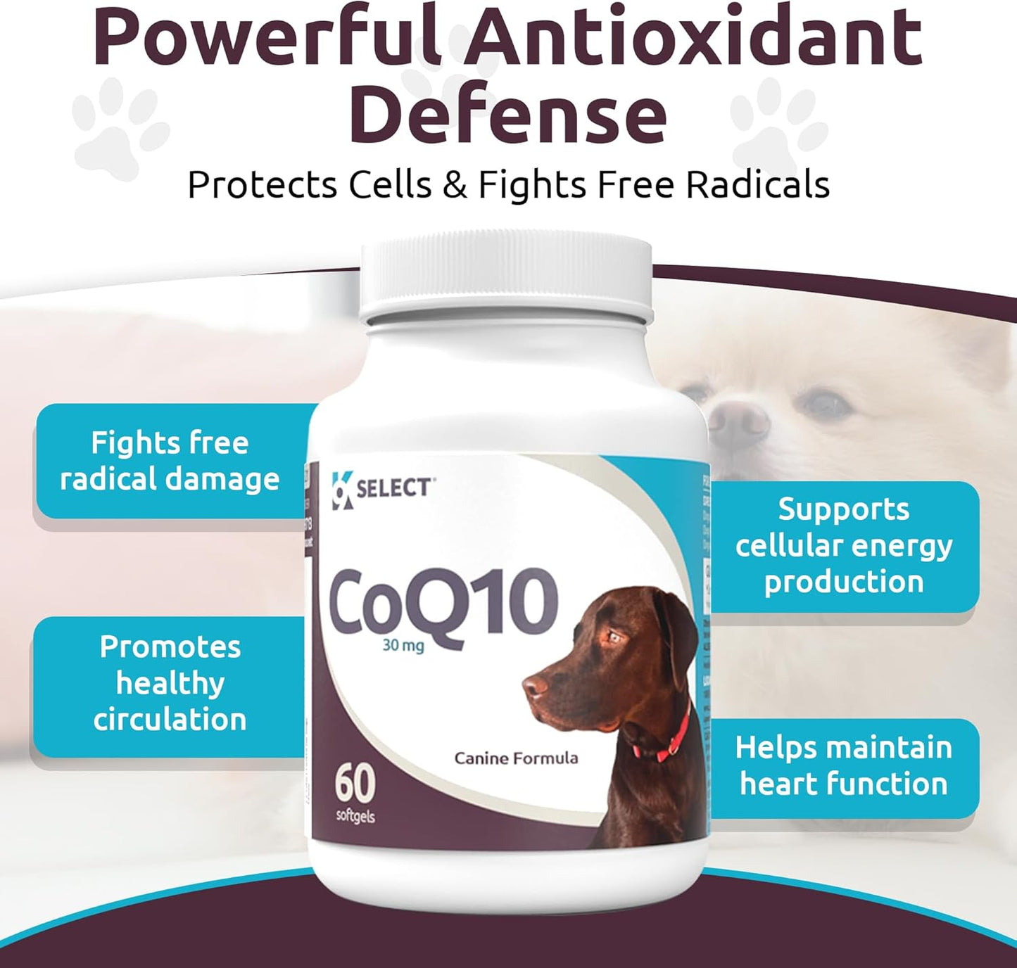 K9 CoQ10 Soft Gel Supplement for Dogs, 30mg - 60 Soft Gels per Bottle - Pet Nutritional Softgels for Heart, Cardiovascular & Gum Health, Energy Boost