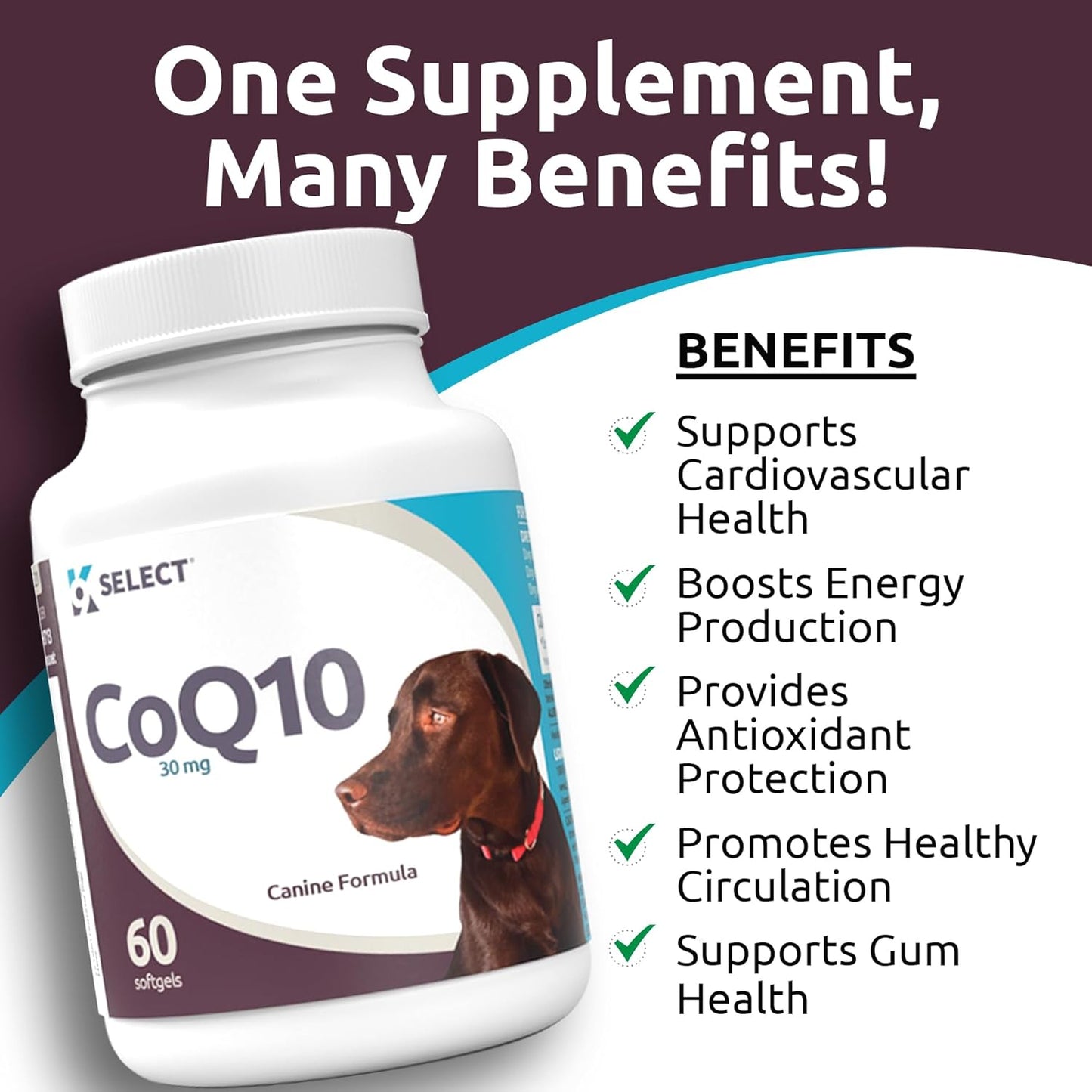 K9 CoQ10 Soft Gel Supplement for Dogs, 30mg - 60 Soft Gels per Bottle - Pet Nutritional Softgels for Heart, Cardiovascular & Gum Health, Energy Boost