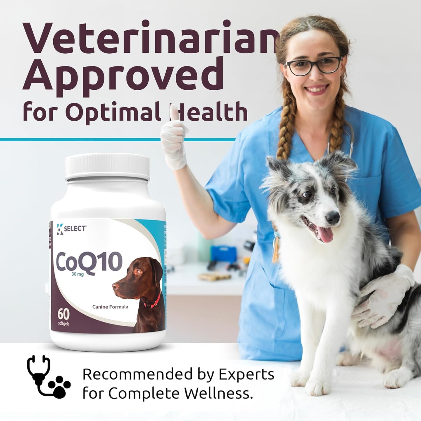 K9 CoQ10 Soft Gel Supplement for Dogs, 30mg - 60 Soft Gels per Bottle - Pet Nutritional Softgels for Heart, Cardiovascular & Gum Health, Energy Boost