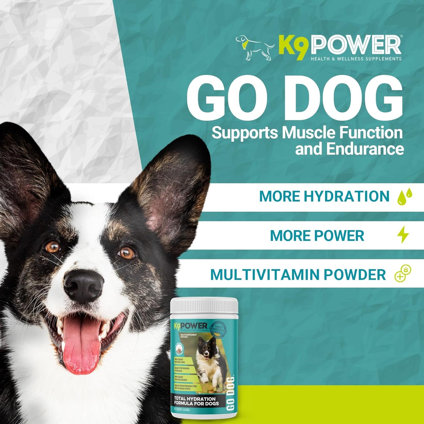 K9 Power Go Dog Hydration & Performance Drink Mix 1 lb - Supplement for Active Dogs, Muscle Function, Endurance, Recovery
