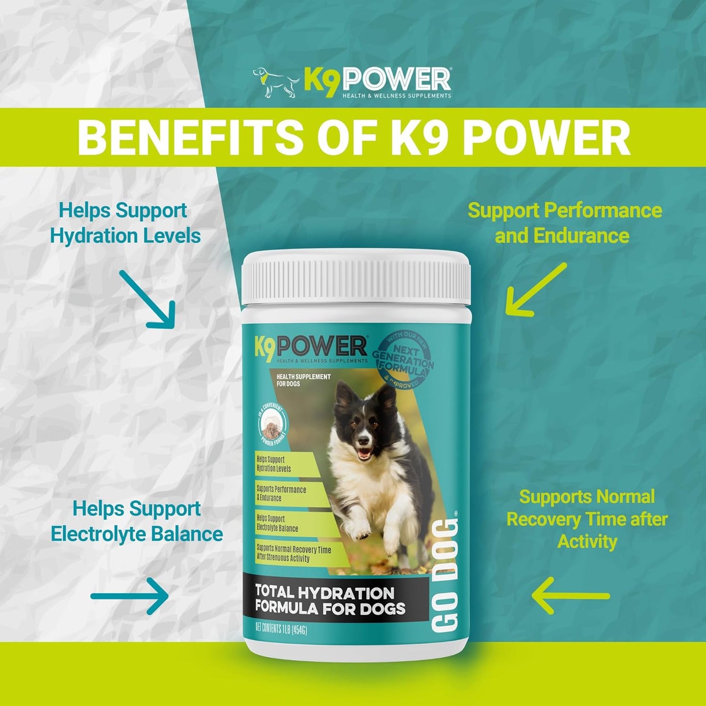 K9 Power Go Dog Hydration & Performance Drink Mix 1 lb - Supplement for Active Dogs, Muscle Function, Endurance, Recovery