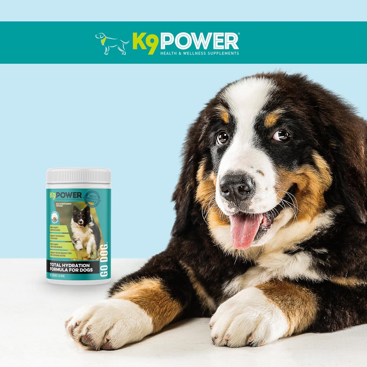 K9 Power Go Dog Hydration & Performance Drink Mix 1 lb - Supplement for Active Dogs, Muscle Function, Endurance, Recovery