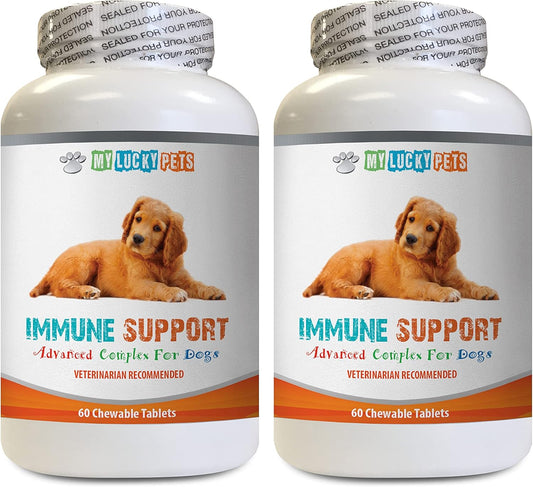 K9 Power Immune Support for Dogs - Antioxidant Boost - Liver Health - Turmeric Curcumin - 2 Bottles (120 Treats) by My Lucky Pets LLC