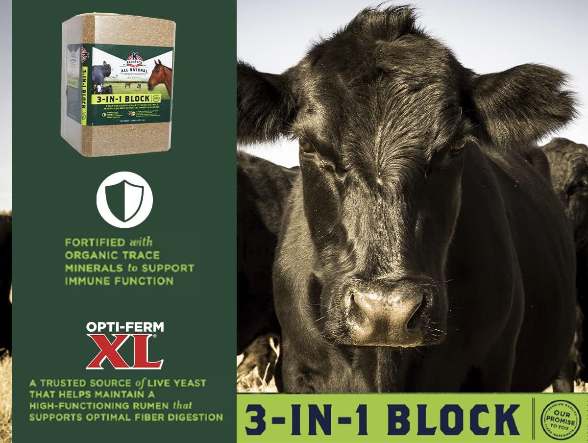 Kalmbach Feeds 3-in-1 Block for Cattle and Horses, 40 lb - All-in-One Nutrition Supplement for Livestock