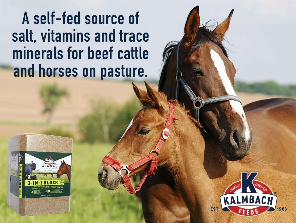 Kalmbach Feeds 3-in-1 Block for Cattle and Horses, 40 lb - All-in-One Nutrition Supplement for Livestock