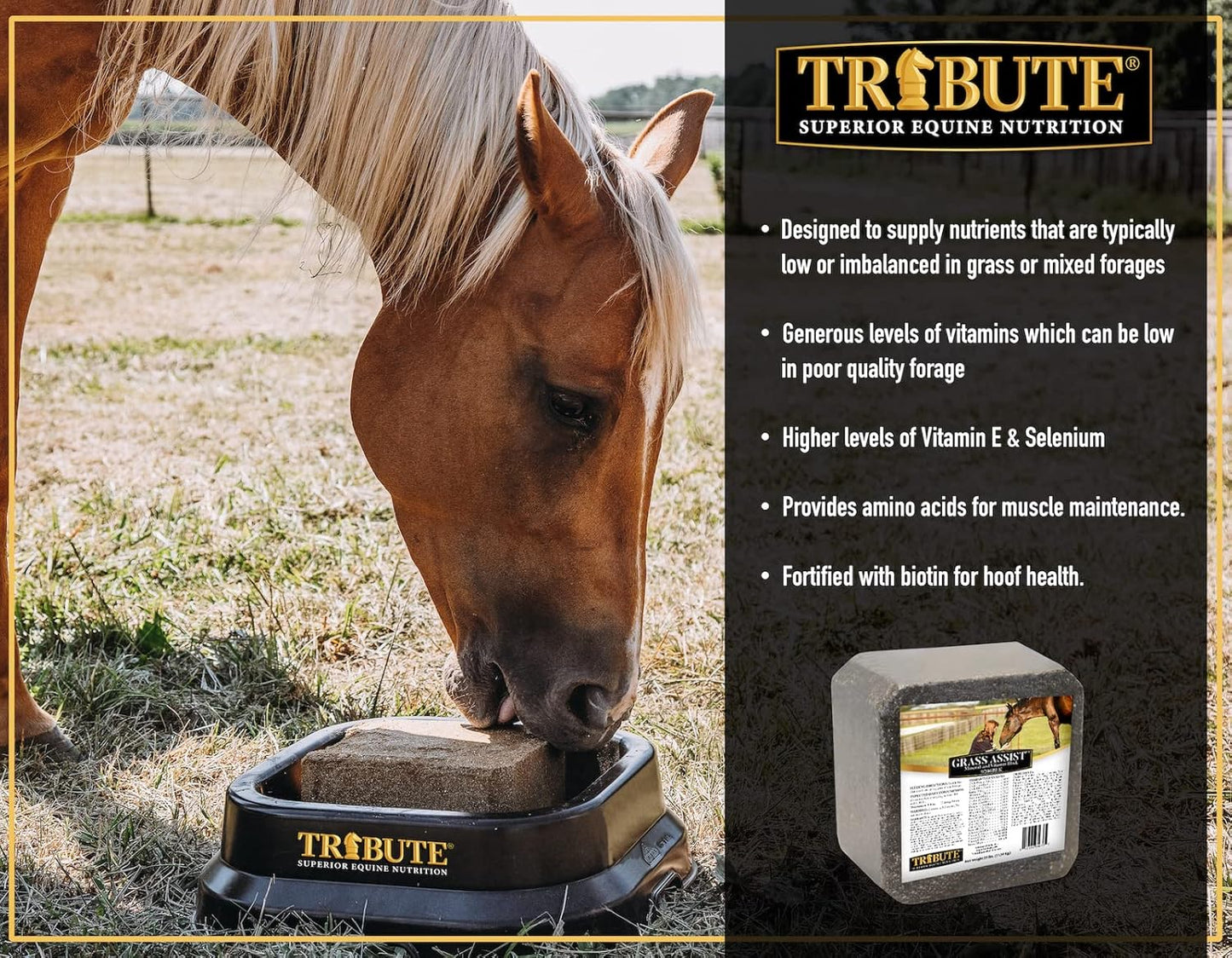 Kalmbach Feeds Horse Mineral and Vitamin Block with Grass Assist, 25 lb Size