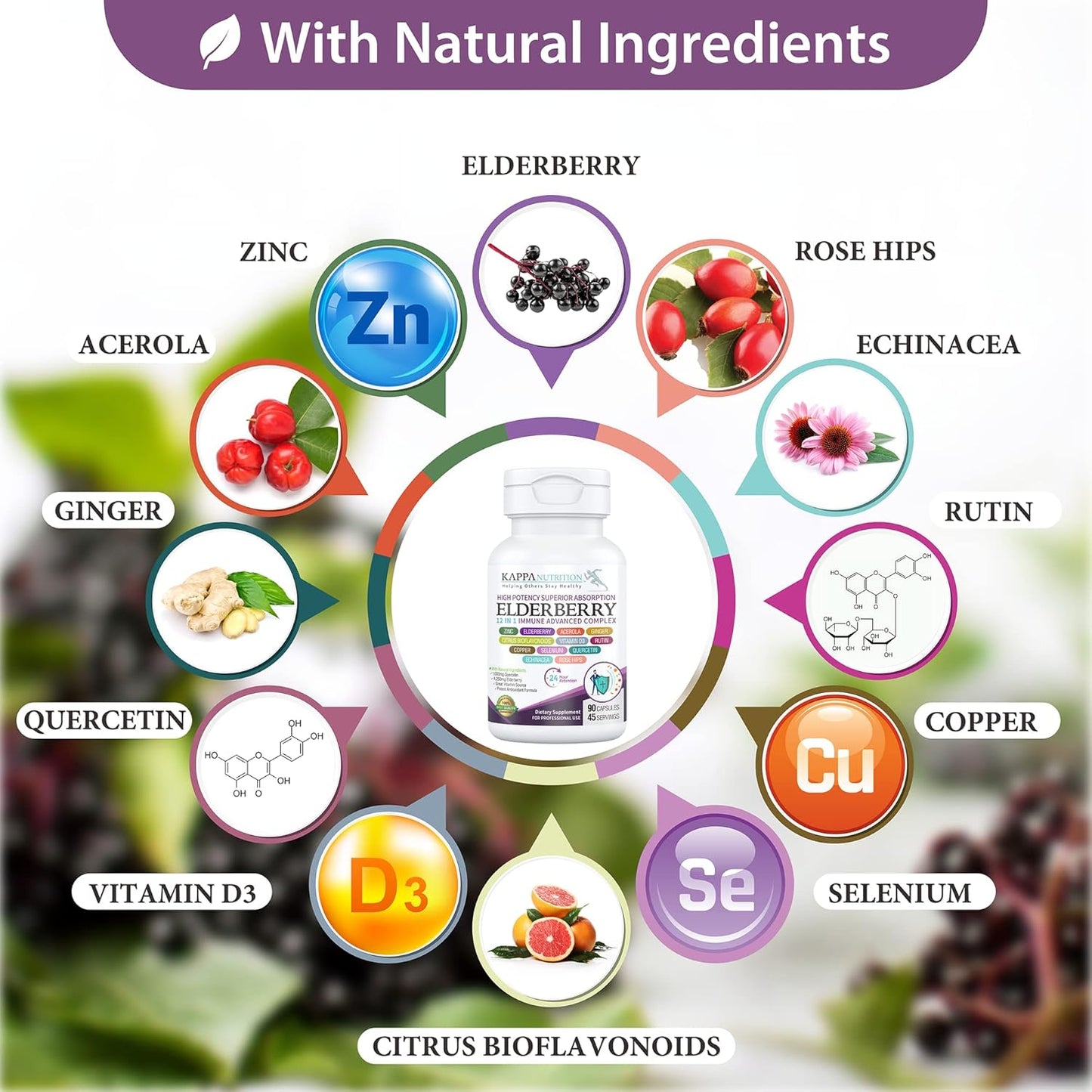 KAPPA NUTRITION Elderberry 12-in-1 Advanced Complex Capsules - 90 Count