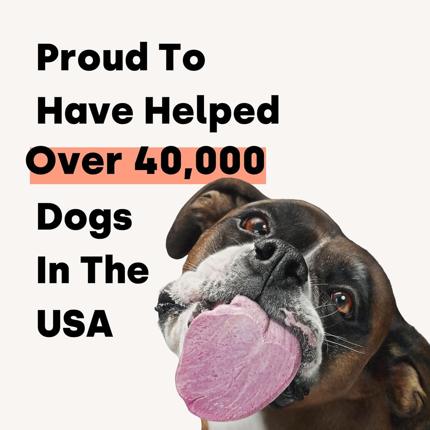 Kayode Daily Multi - Dog Multivitamin Chew for Joint, Digestive, Heart, Brain, Urinary Health & More - Nutrient Booster for Dogs & Puppies