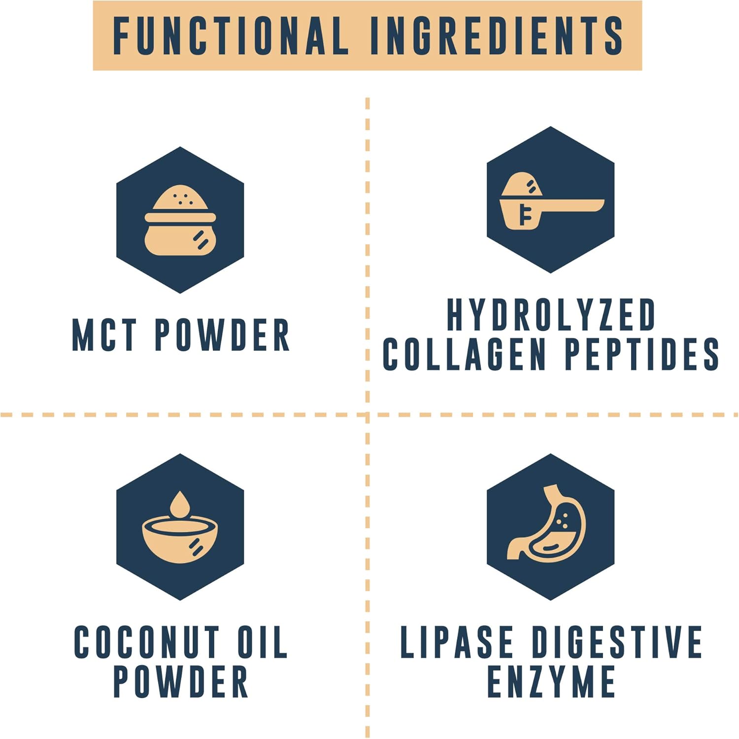 Keto MCT Powder with Collagen for Meal Replacement & Keto Cheesecake Flavor