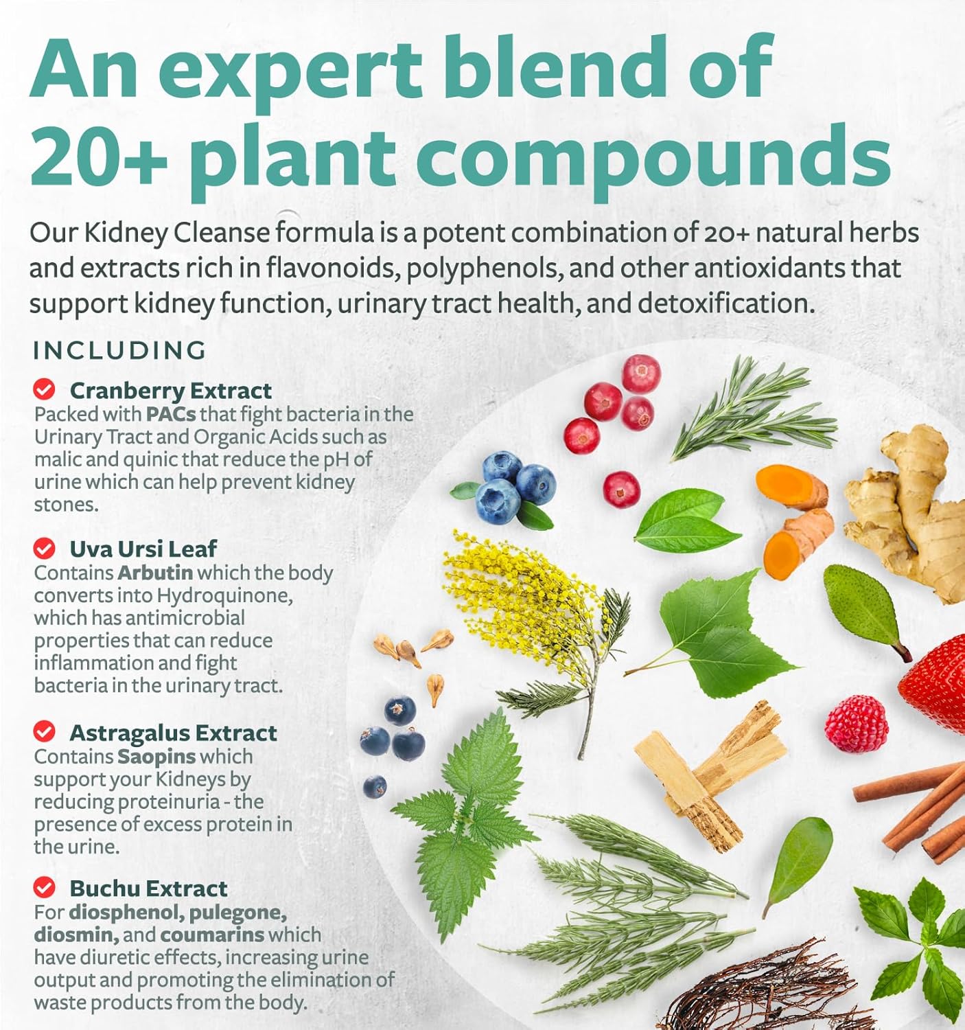 Kidney Cleanse Detox & Repair Supplement - Supports Urinary Tract Health - Powerful Cranberry Extract & Natural Herbs - 120 Vegetarian Capsules