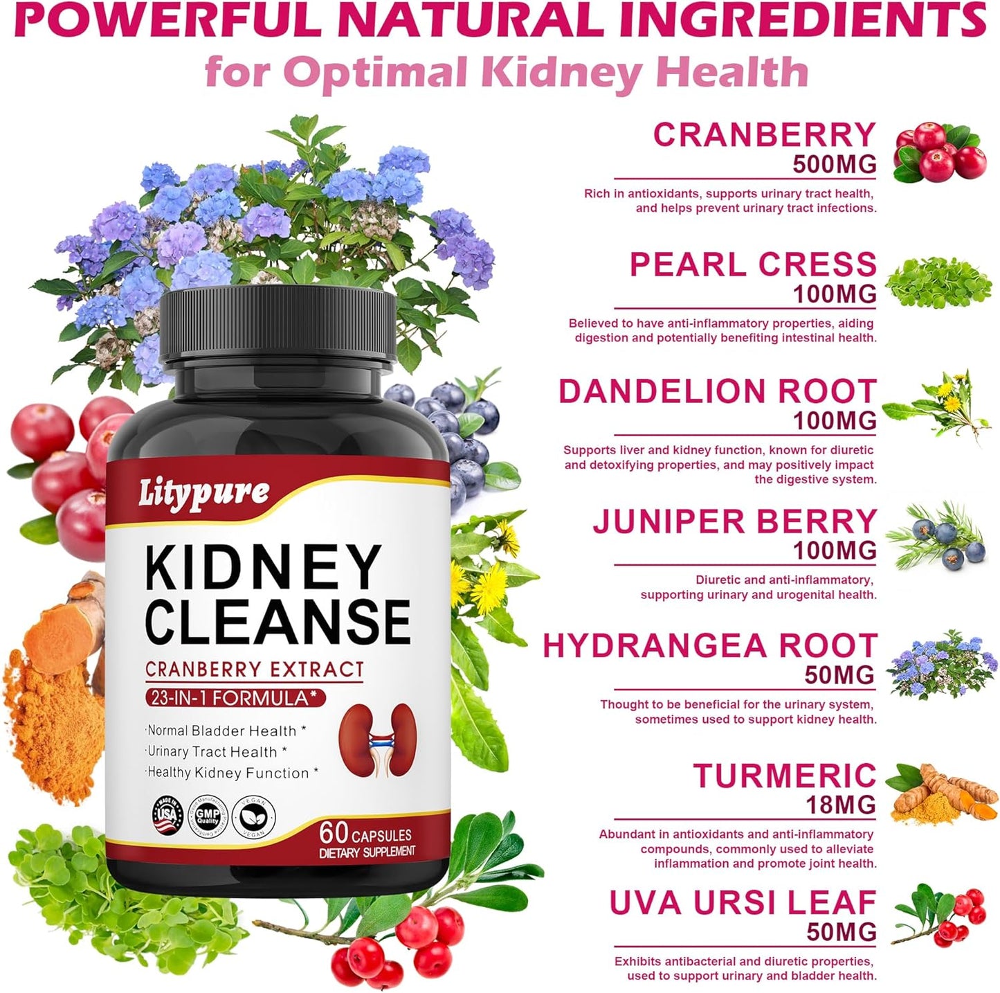 Kidney Cleanse Detox & Repair Supplement with Cranberry Extract - Herbal Formula for Urinary Tract Health - 60 Capsules