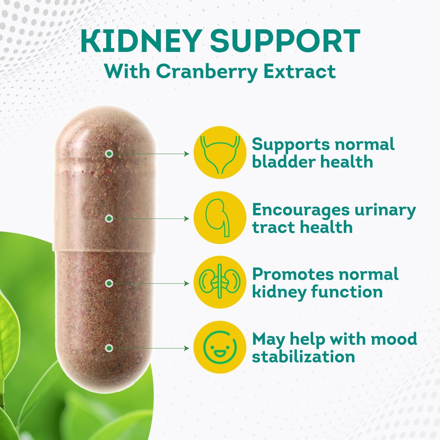 Kidney Support Supplement with Cranberry Extract for Urinary Tract Health - 120 Capsules - 4 Months Supply for Men & Women