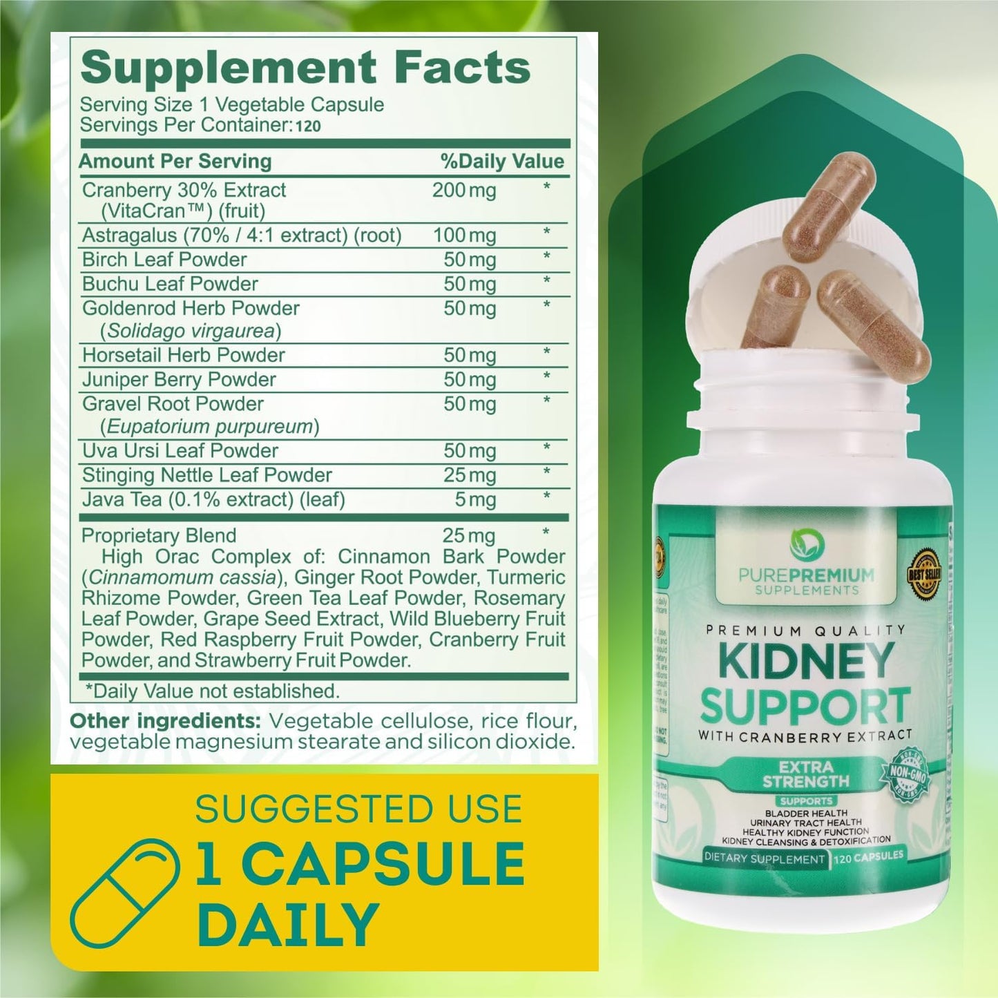 Kidney Support Supplement with Cranberry Extract for Urinary Tract Health - 120 Capsules - 4 Months Supply for Men & Women