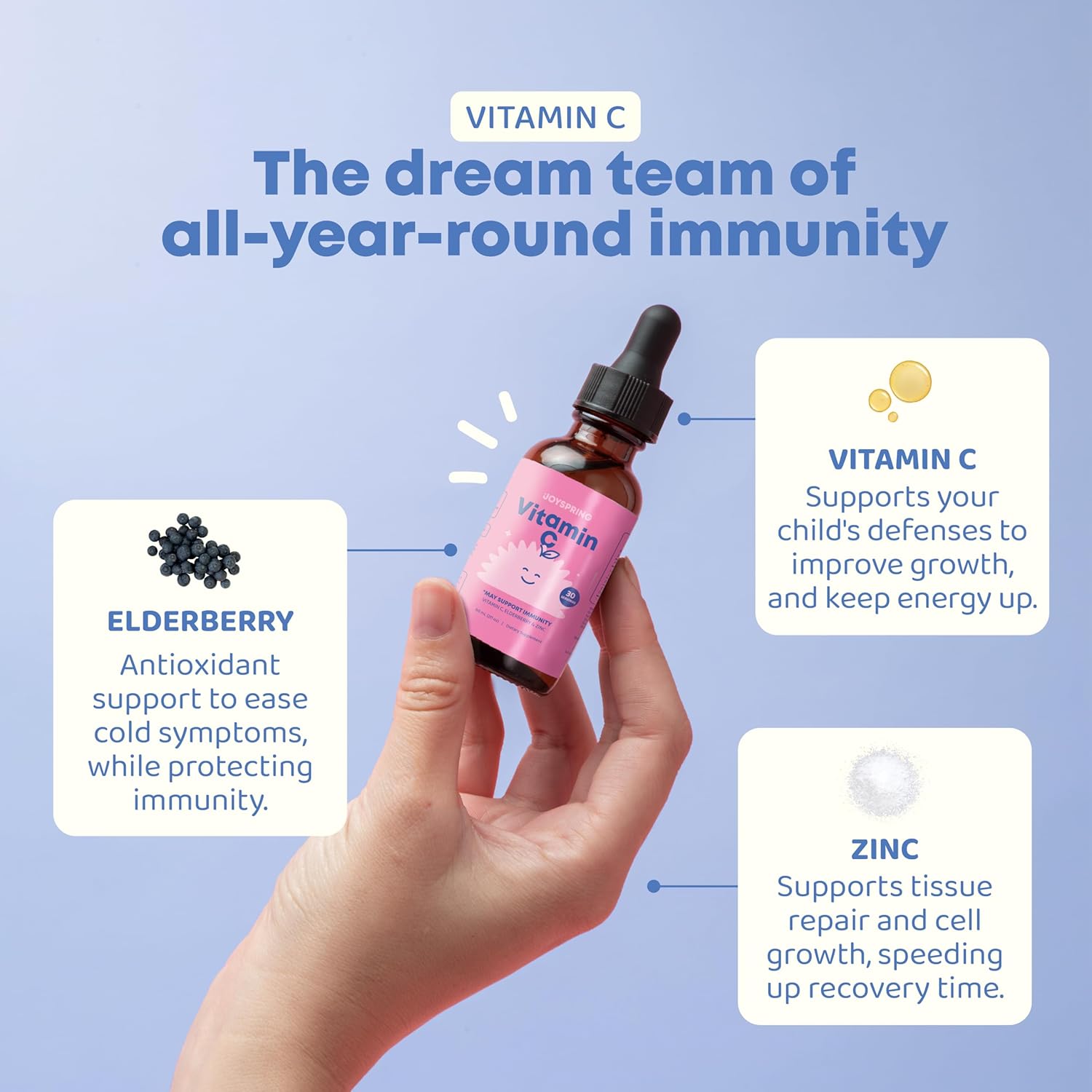 Kids Elderberry Liquid Supplement with Vitamin C and Zinc - Alcohol-Free Toddler Formula - 30 Servings (2 fl oz)