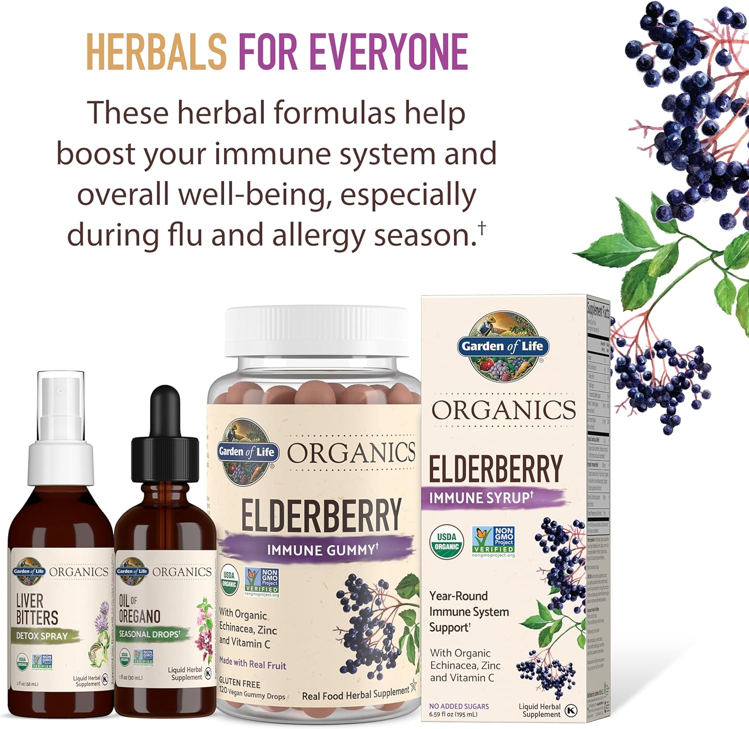 Kids Elderberry & Sleep Immune Syrup Liquid - Garden of Life Organics, Bedtime Herbs for Children, 3.92 fl oz