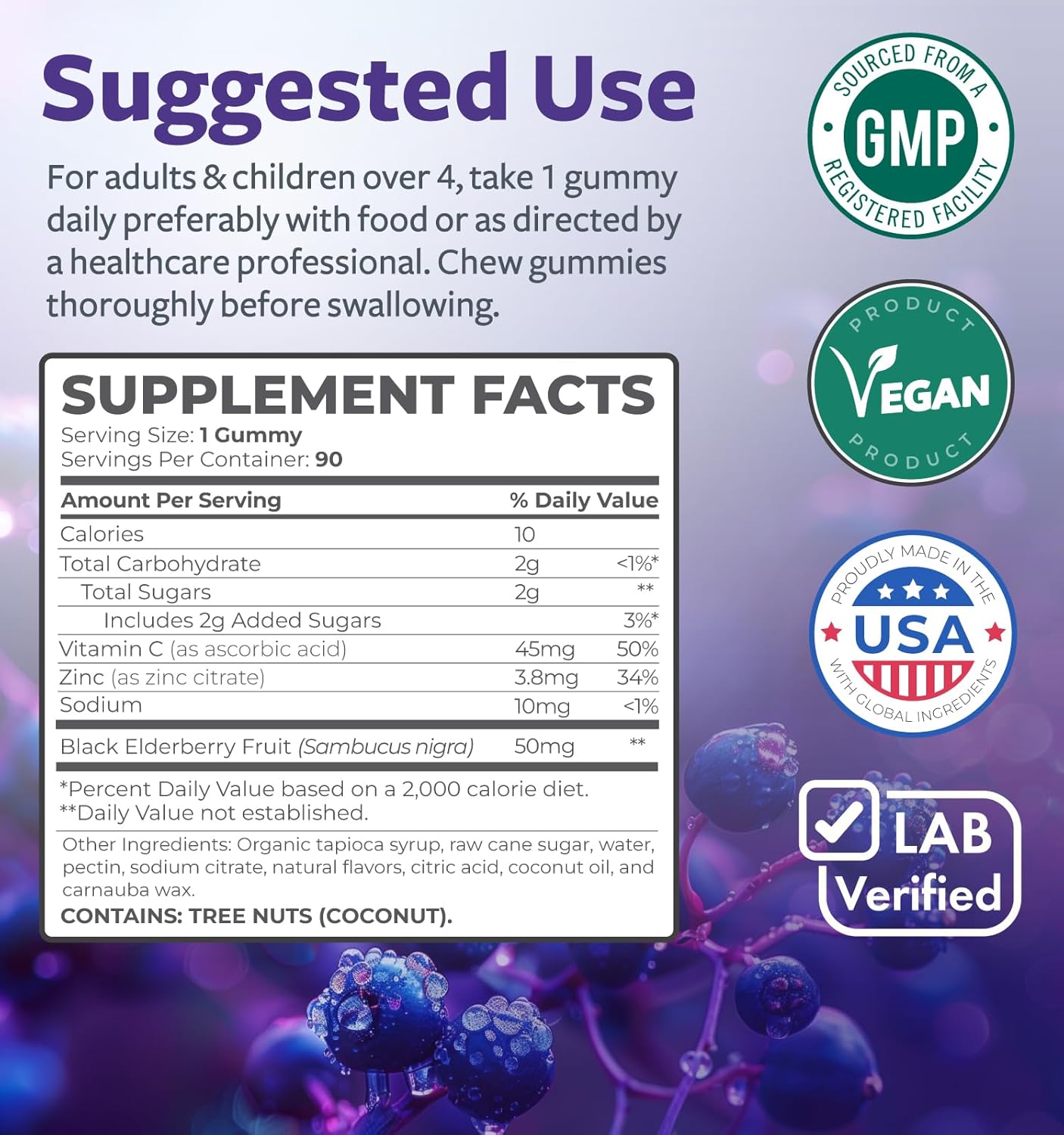 Kids Immune Support: Elderberry Gummies with Vitamin C & Zinc - 90 Raspberry Flavored Gummies - Vegetarian Sambucus Gummies for Children - 3 Months Supply