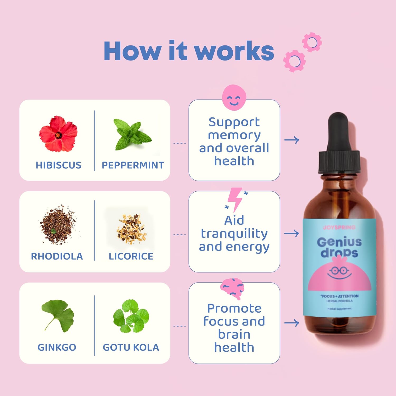 Kid's Liquid Herbal Focus Supplement with Ginkgo Biloba | JoySpring Genius Drops | Clinically Proven (1 fl oz)
