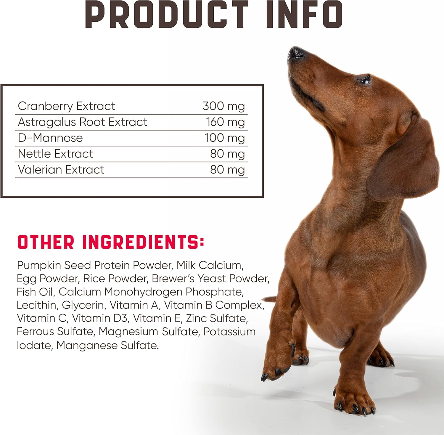 Kinpur Pet Care Dog UTI Treatment 180 Chews - Natural Cranberry UTI Medicine for Dogs