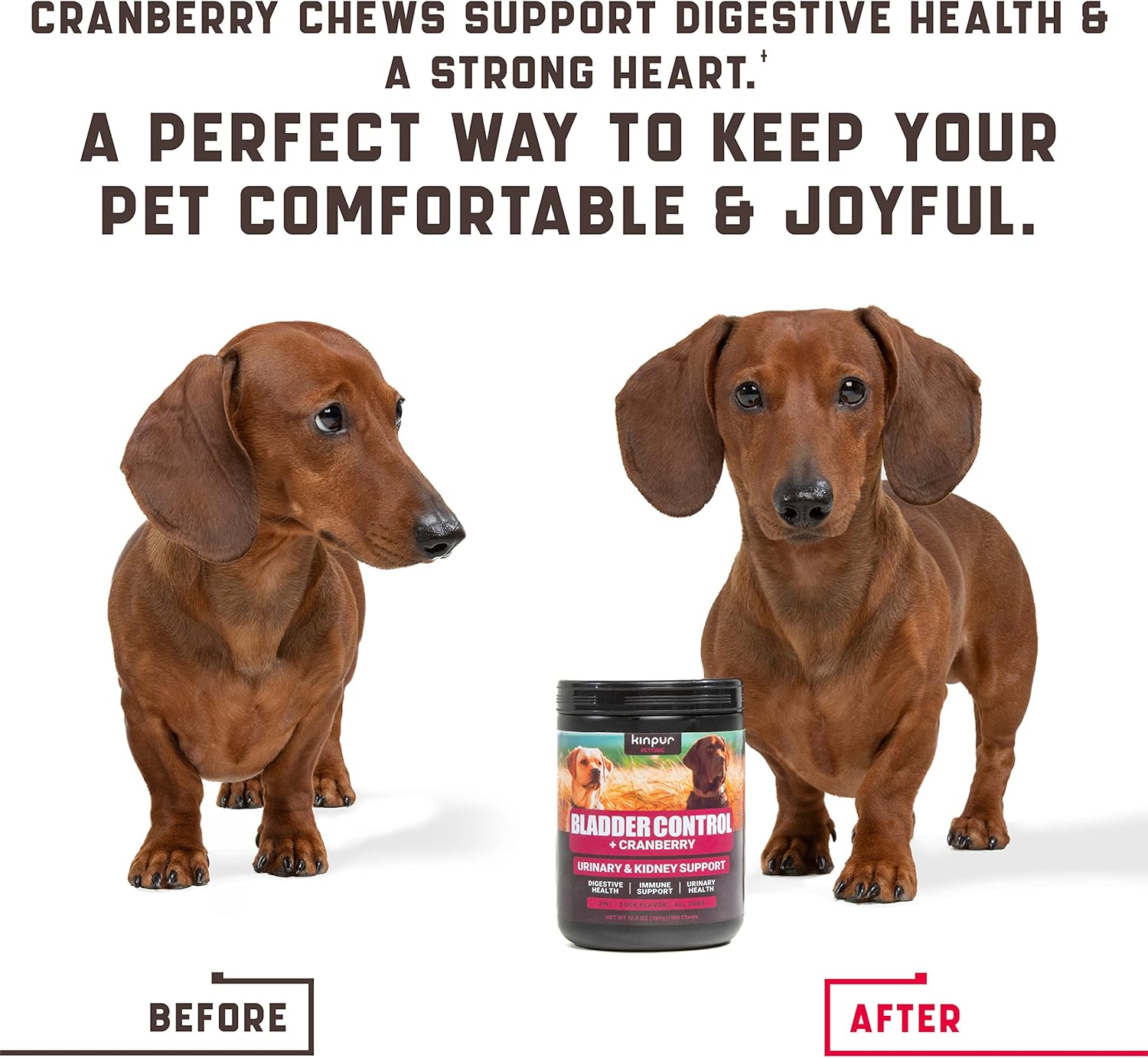 Kinpur Pet Care Dog UTI Treatment 180 Chews - Natural Cranberry UTI Medicine for Dogs