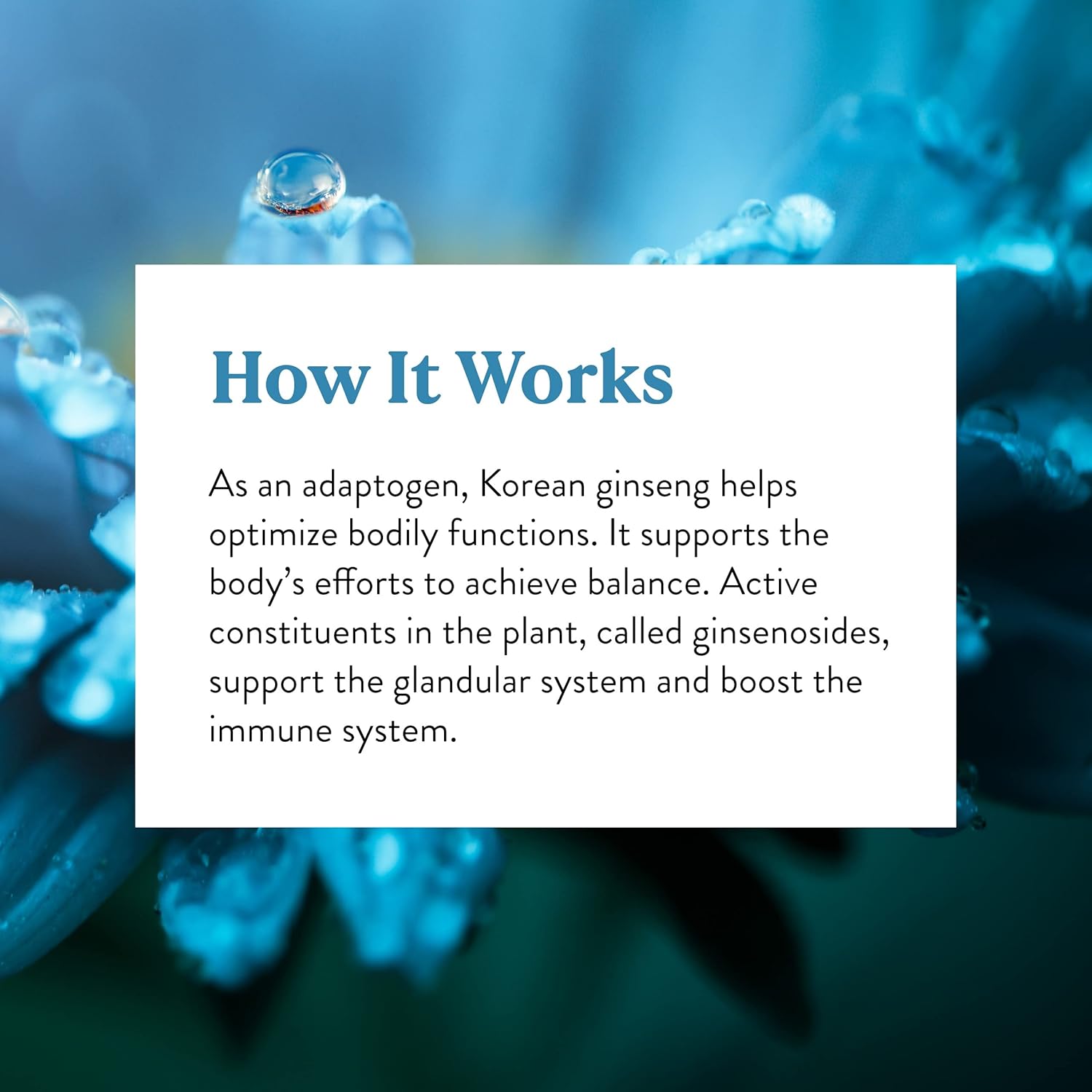 Korean Ginseng Capsules - 100 Count - by Nature's Sunshine