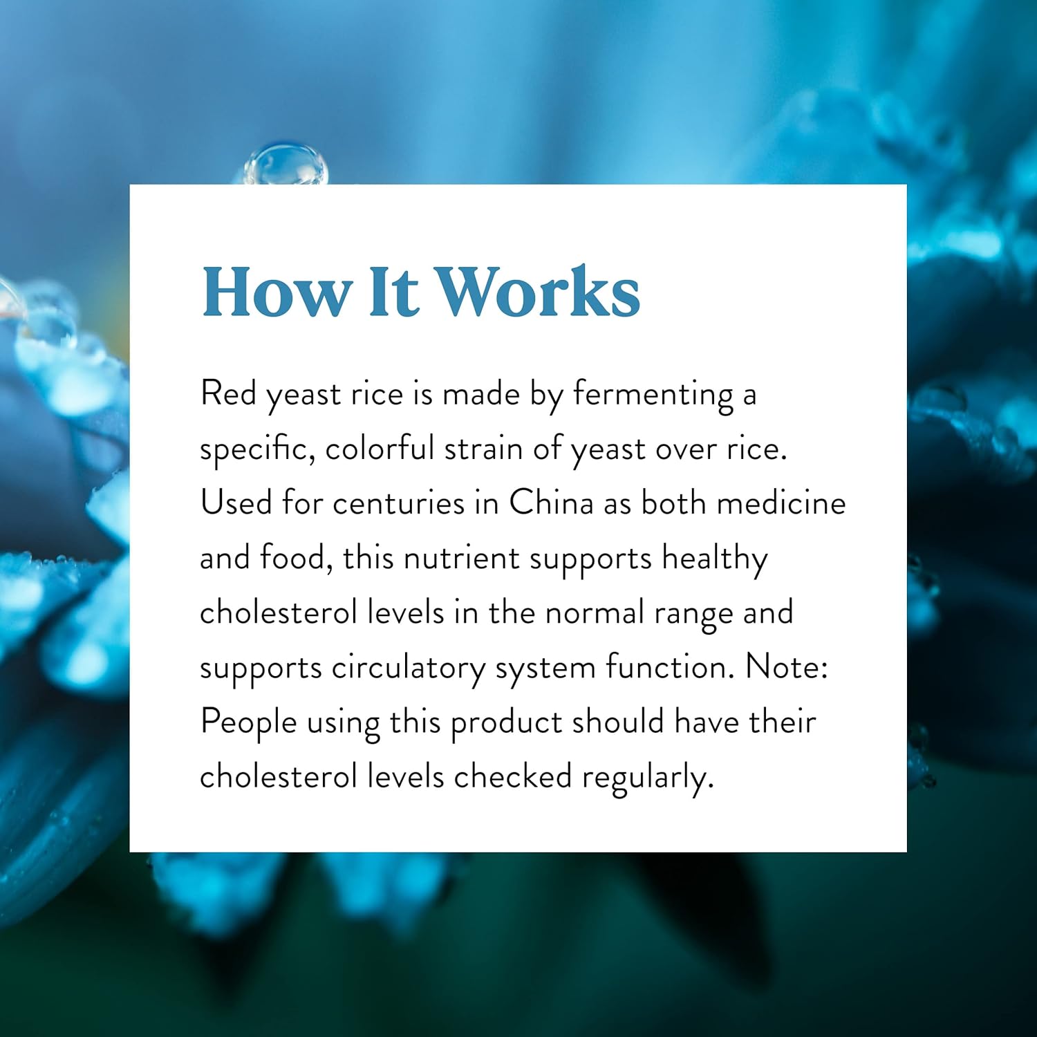 Kosher Red Yeast Rice Capsules - Supports Liver Cholesterol Production & Circulatory System - 120 Count