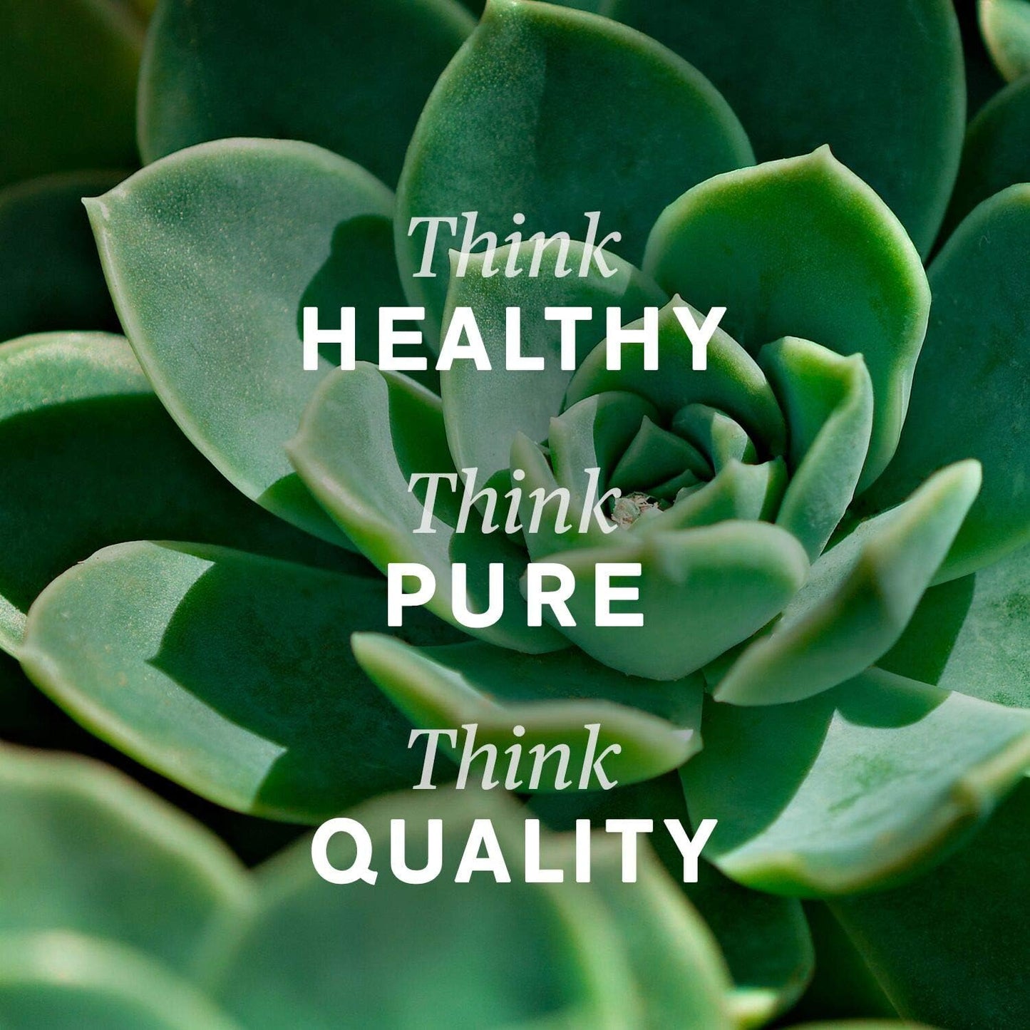 Kosher Red Yeast Rice Capsules - Supports Liver Cholesterol Production & Circulatory System - 120 Count