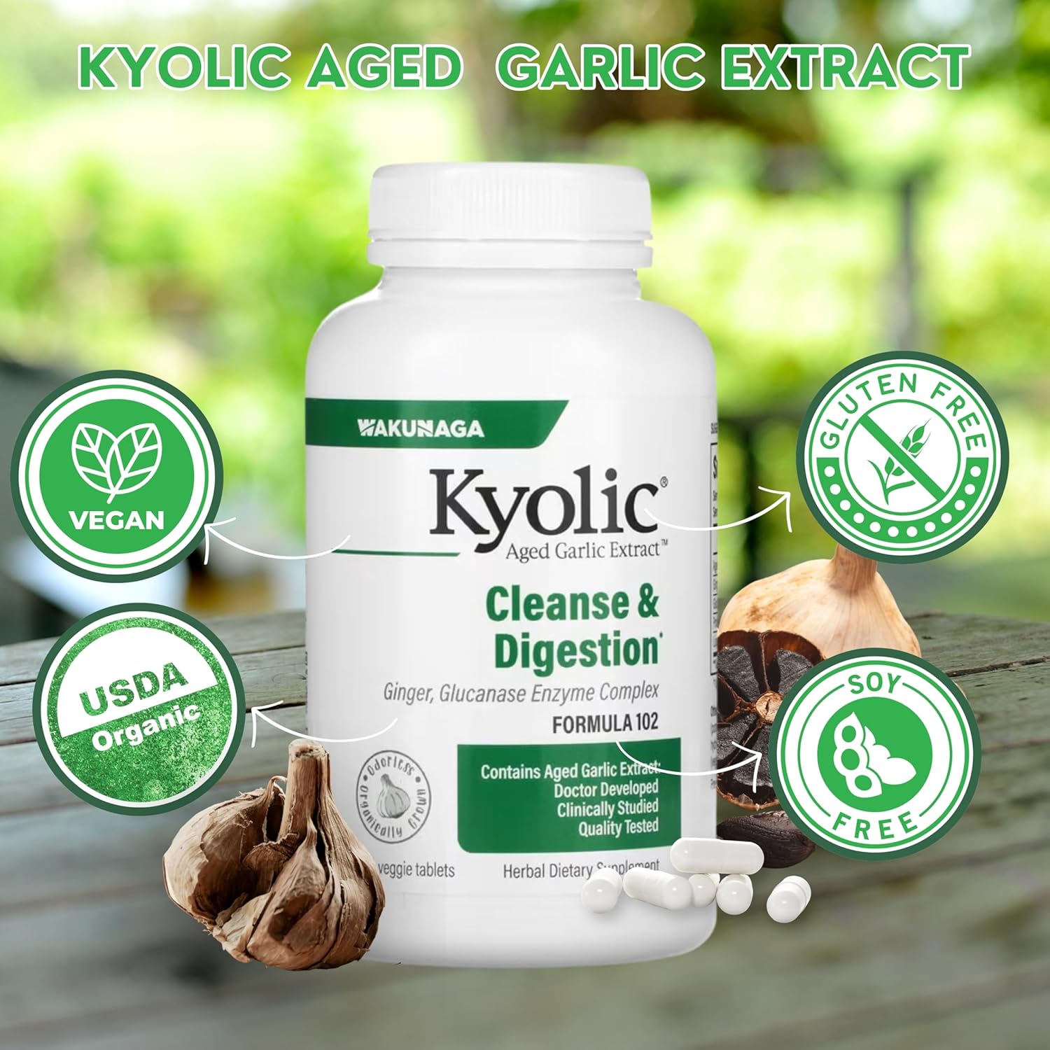 Kyolic Aged Garlic Extract 200 Veggie Tablets Formula 102 Bundle with Garlic Ginger Supplement - Worldwide Nutrition - 200 Count Pack with Key Chain