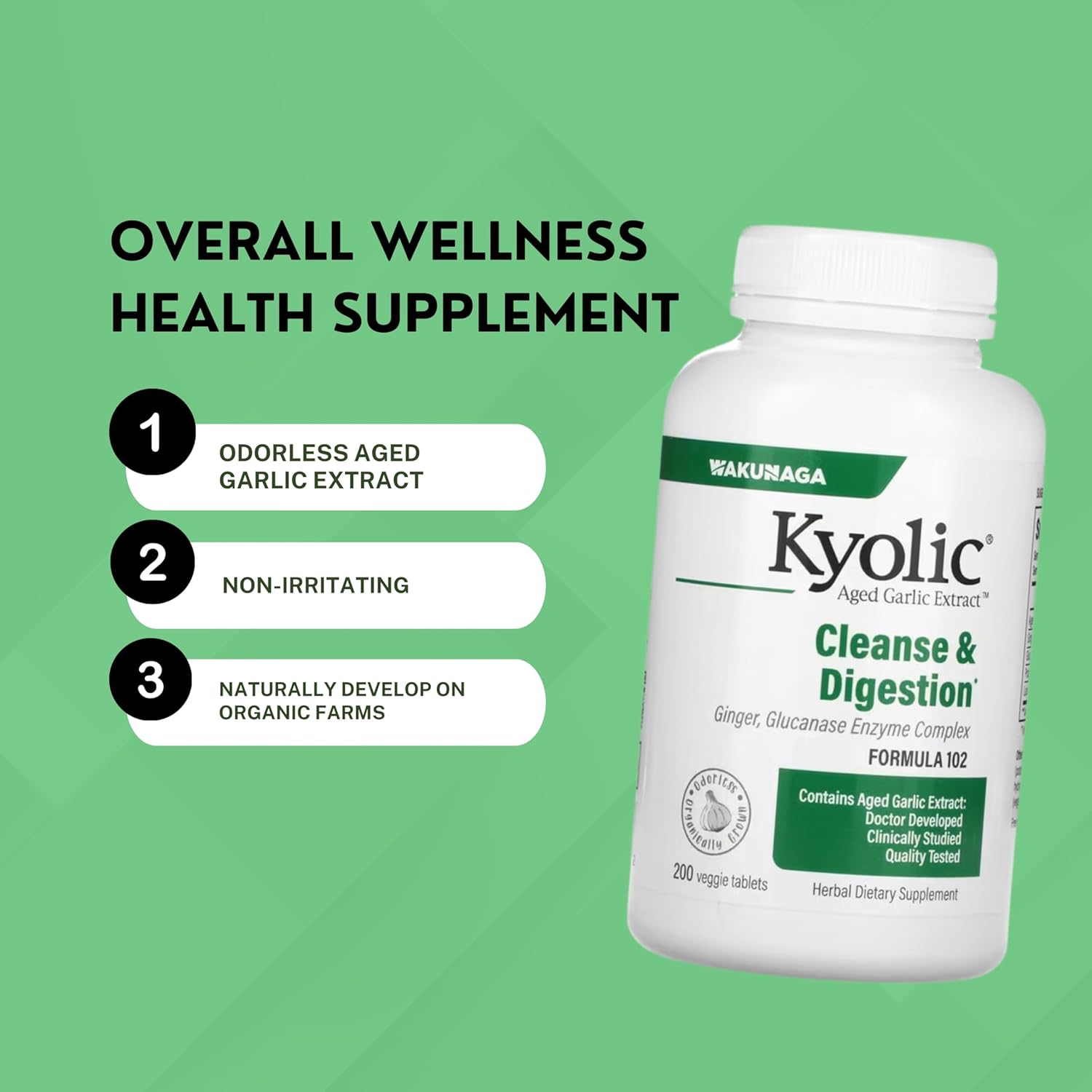 Kyolic Aged Garlic Extract 200 Veggie Tablets Formula 102 Bundle with Garlic Ginger Supplement - Worldwide Nutrition - 200 Count Pack with Key Chain