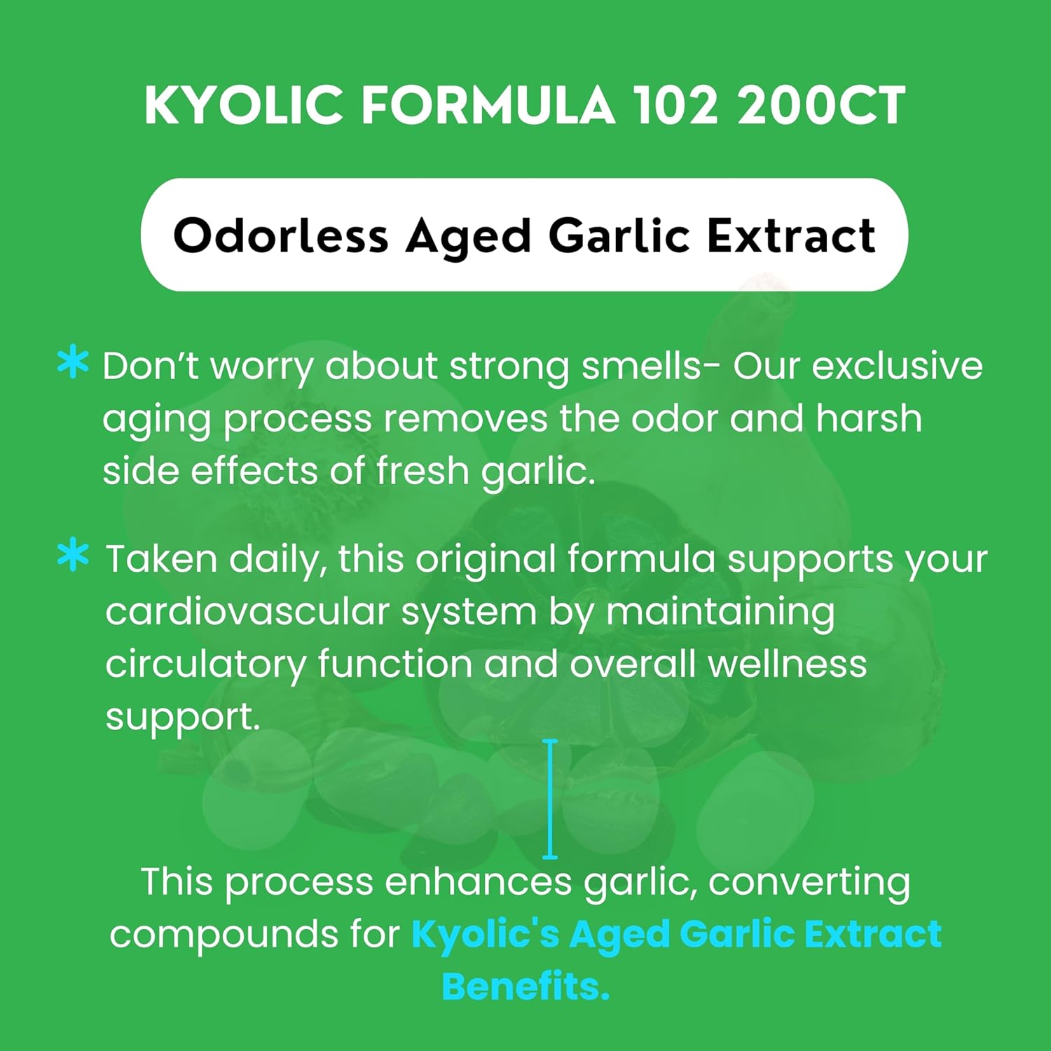 Kyolic Aged Garlic Extract 200 Veggie Tablets Formula 102 Bundle with Garlic Ginger Supplement - Worldwide Nutrition - 200 Count Pack with Key Chain