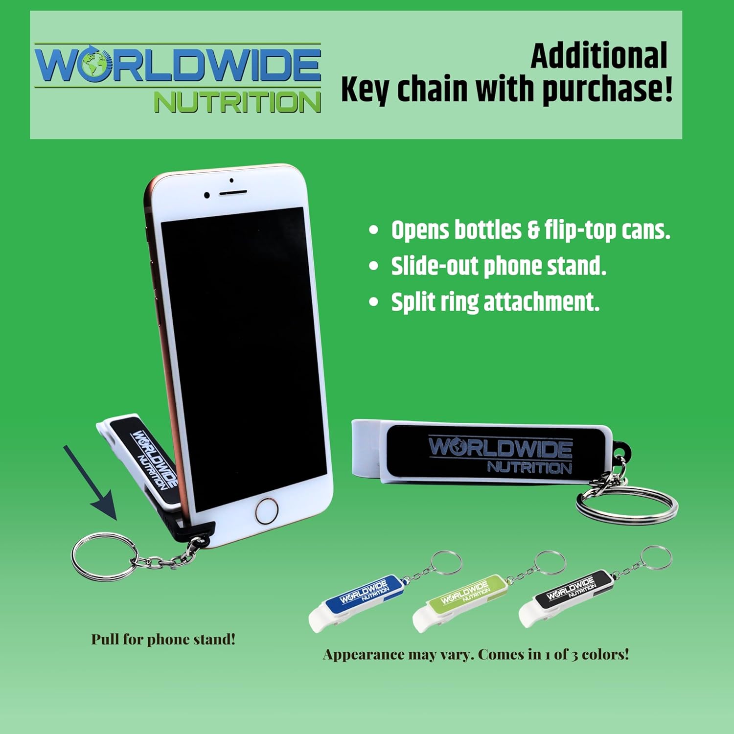 Kyolic Aged Garlic Extract 200 Veggie Tablets Formula 102 Bundle with Garlic Ginger Supplement - Worldwide Nutrition - 200 Count Pack with Key Chain