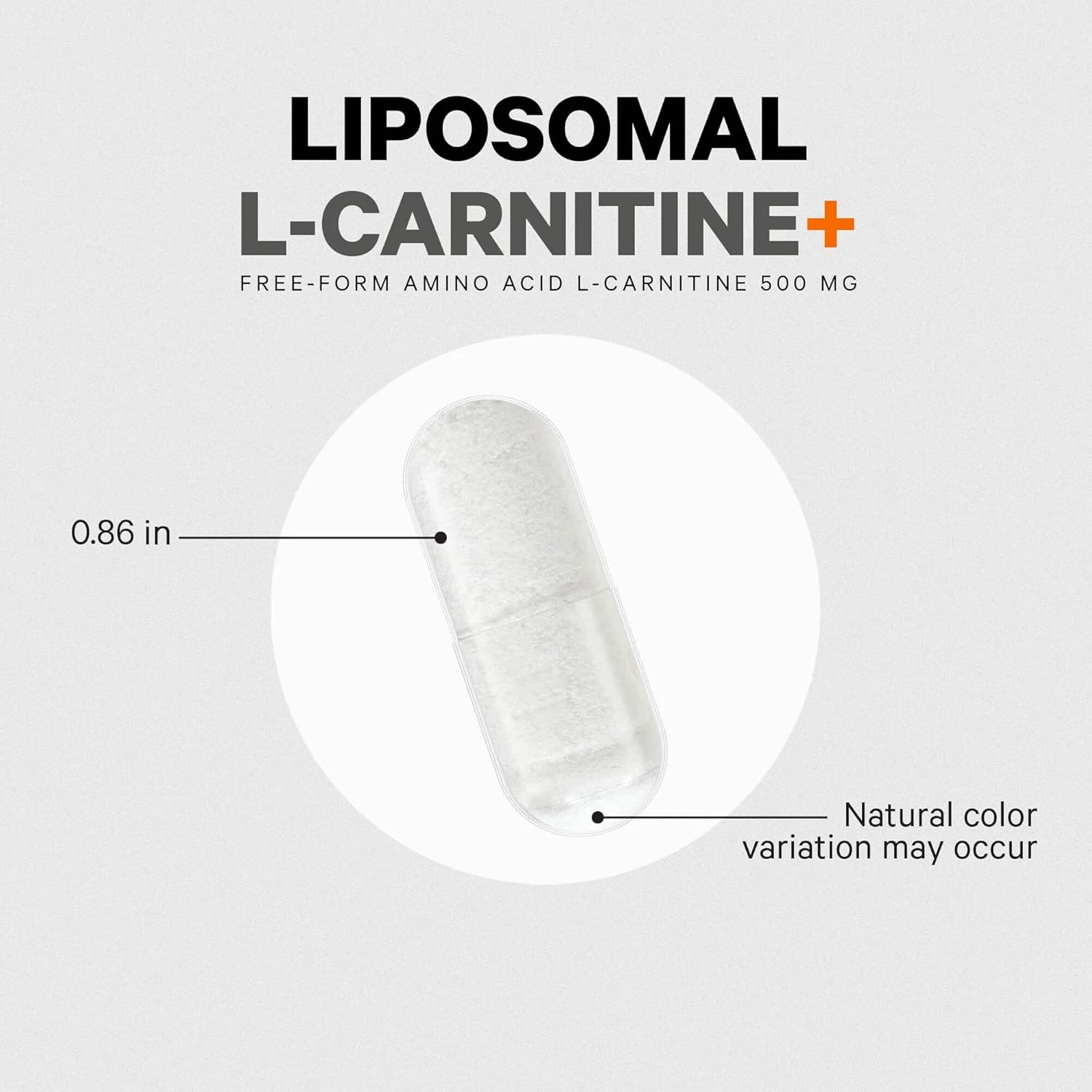 L-Carnitine Liposomal Supplement - 500mg L-Tartrate per Serving - Free-Form Amino Acid - Vegan, Non-GMO - 90 Capsules