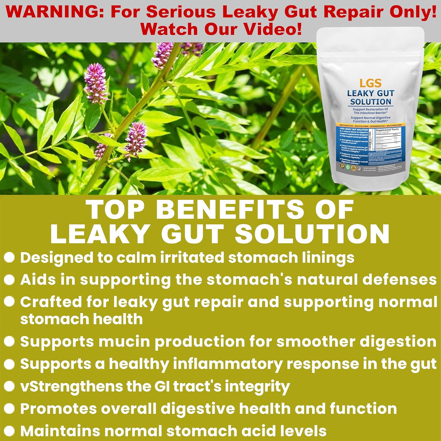 L-Glutamine & Prebiotic Gut Restore Powder for Leaky Gut Repair and Kidney Health - Supplements for Digestive Restoration & Gut Lining Support with Gut Health Guide