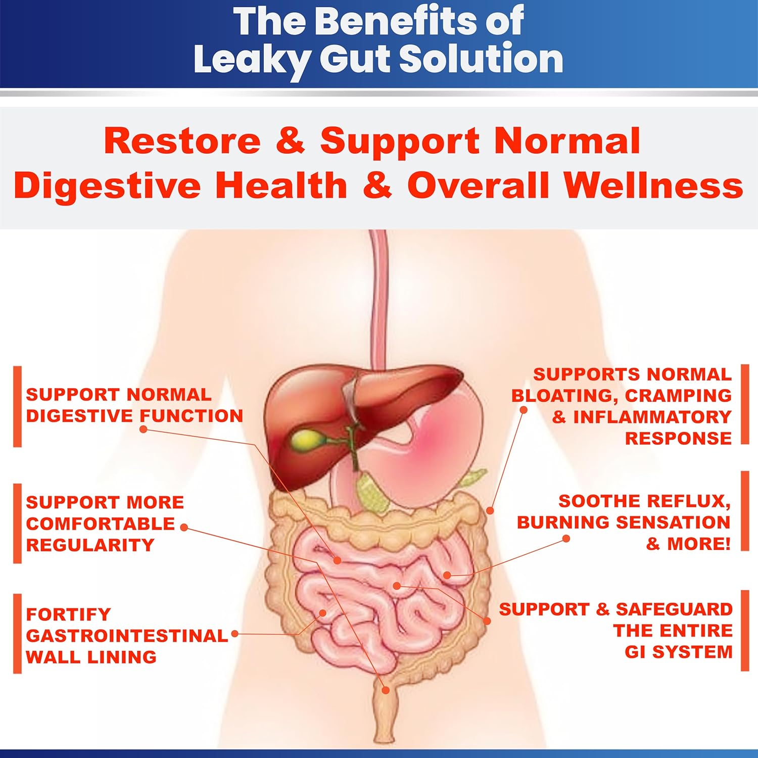 L-Glutamine & Prebiotic Gut Restore Powder for Leaky Gut Repair and Kidney Health - Supplements for Digestive Restoration & Gut Lining Support with Gut Health Guide