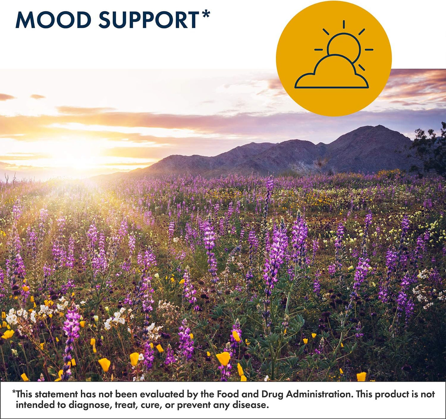 L-Methylfolate 15mg Supplement for Cognitive & Brain Health - Gluten Free, Dairy Free (60 Capsules)