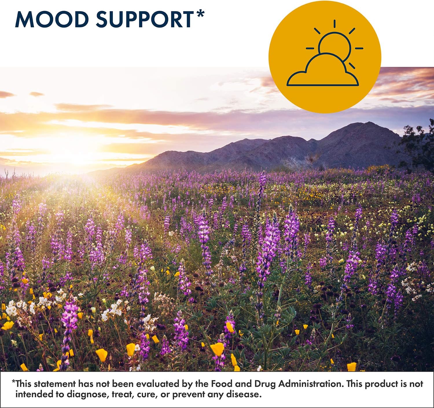 L-Methylfolate 15mg Supplement for Cognitive & Brain Health - Gluten Free, Dairy Free (60 Capsules)