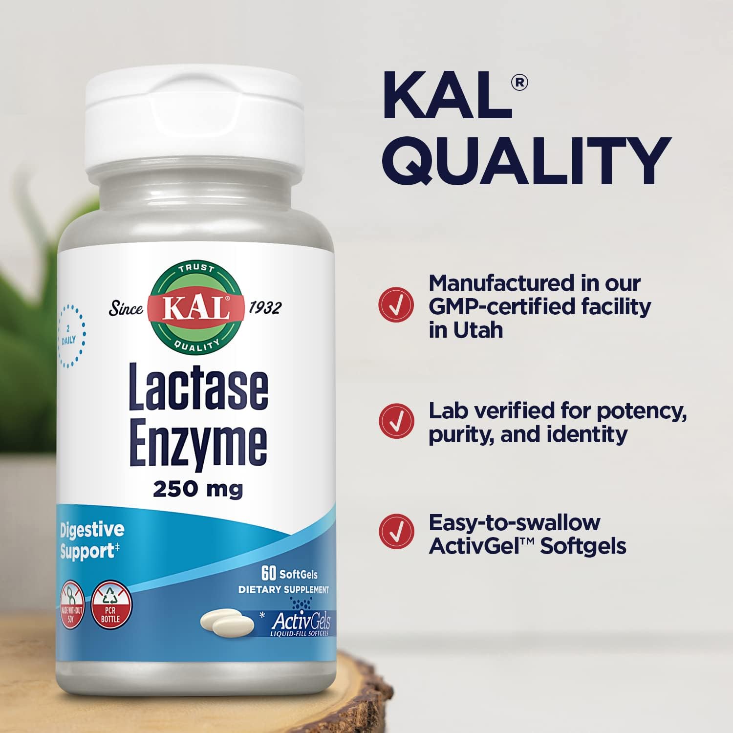 Lactase Enzyme 250mg Liquid-Filled ActivGels for Lactose Intolerance Support - 30 Servings, 60 SoftGels, Soy-Free Formula