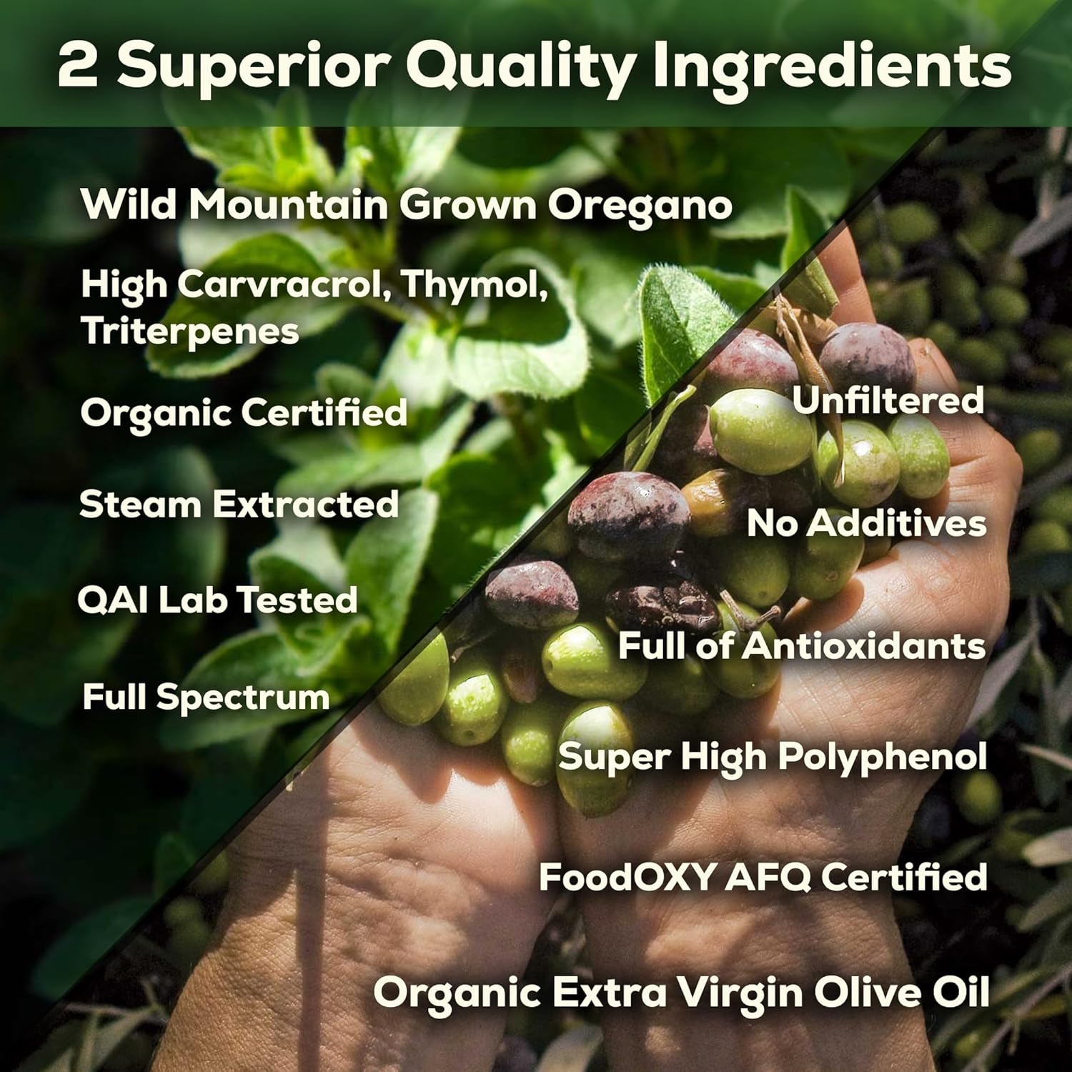 LAKONIS Organic Oil of Oregano Drops | 100% Natural with Hydroxytyrosol | Aceite De Oregano | High Carvacrol | Immune Support (1 oz)