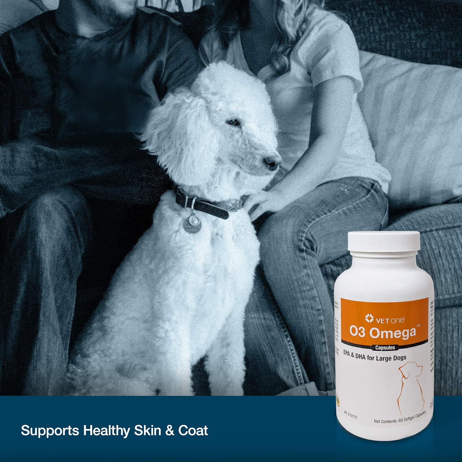 Large Dog Omega 3 Fatty Acid Capsules for Immune & Joint Health - 250 Count