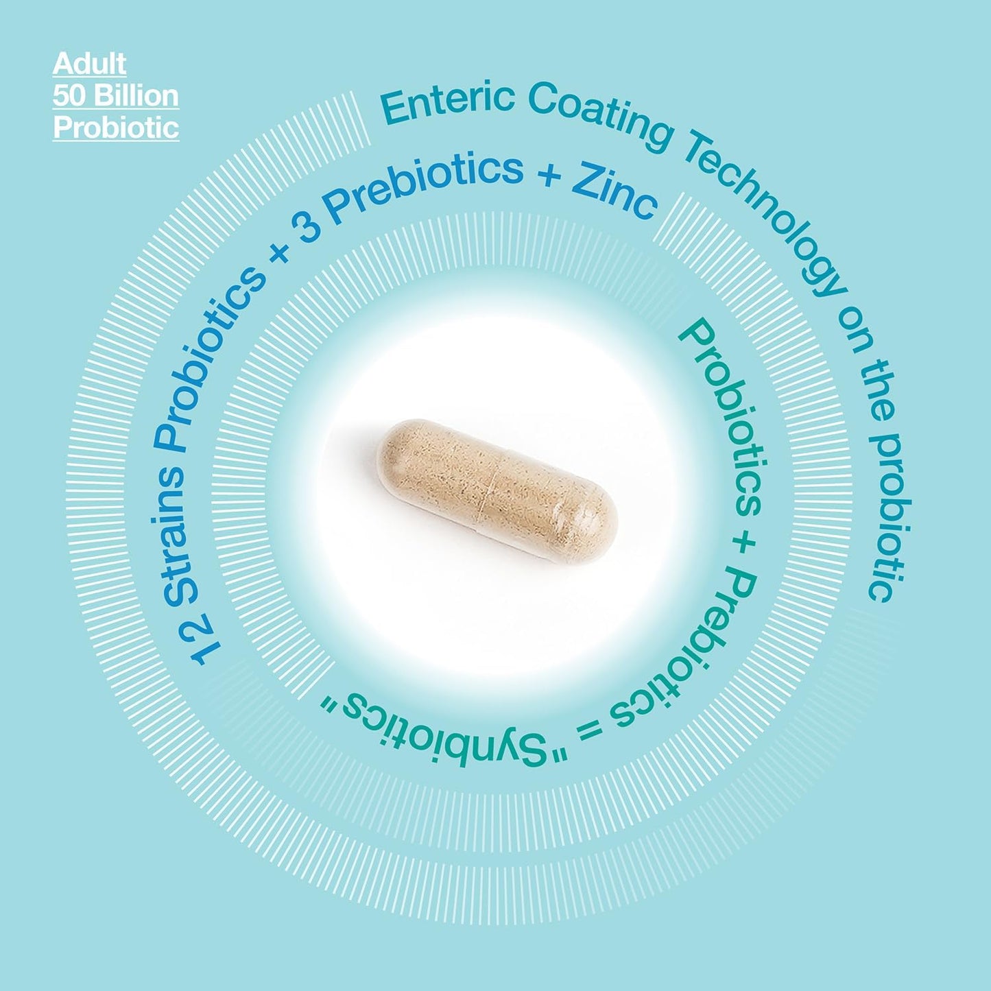 LAUF NATURE Adult Probiotic with Prebiotics and Zinc - 60 Servings, 50 Billion CFU, Digestive Health and Immune Support