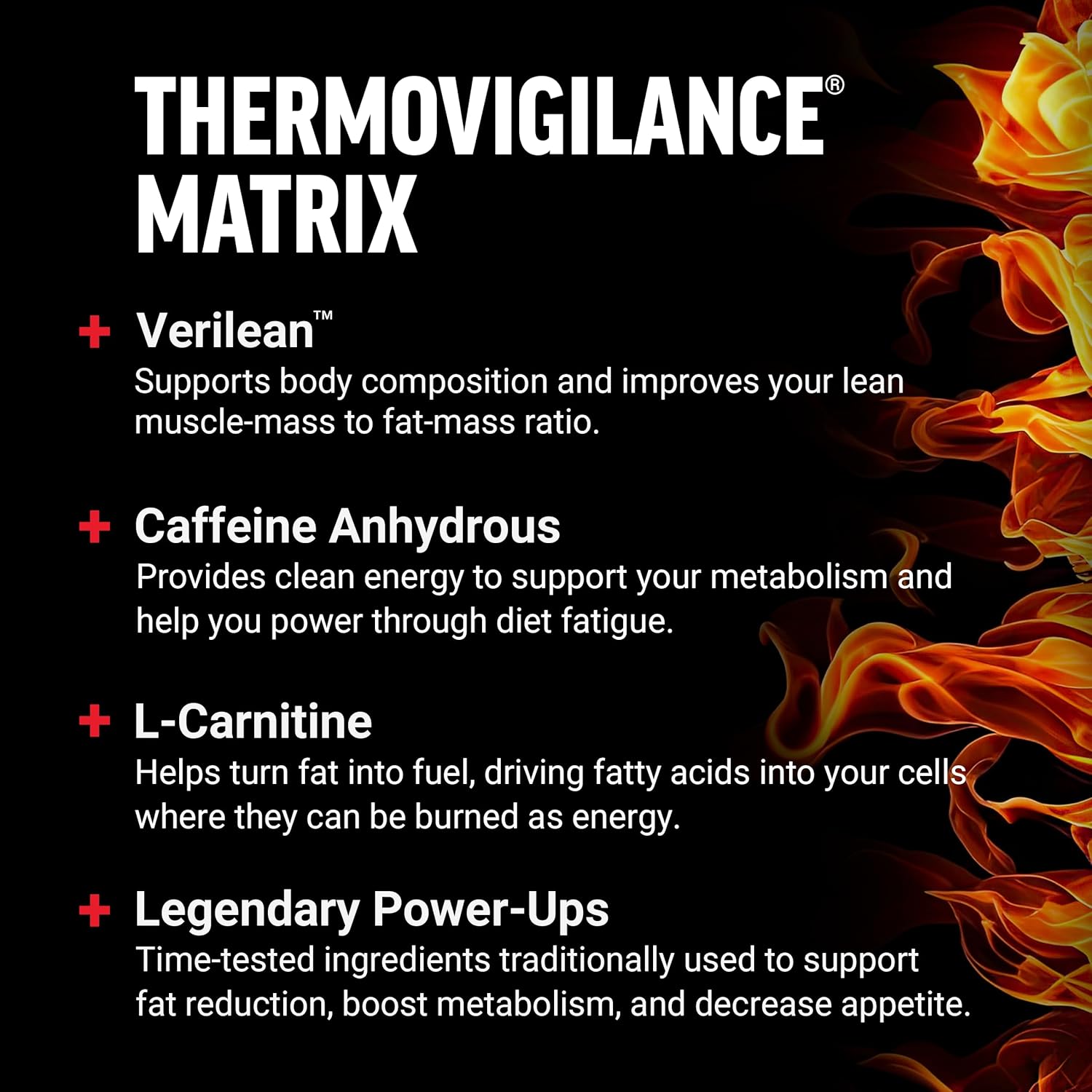 LeanFire Pre Workout Energy Pills - Boost Energy, Build Muscle - Green Tea Extract, Caffeine - 60 Count, Black