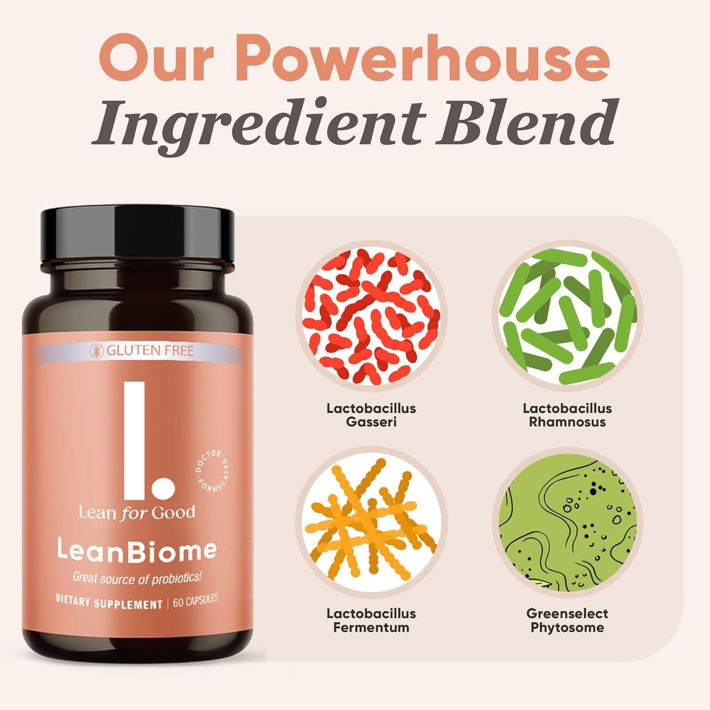 LEANFORGOOD LeanBiome Probiotic Formula with 9 Strains & Greenselect Phytosome - 360 Capsules