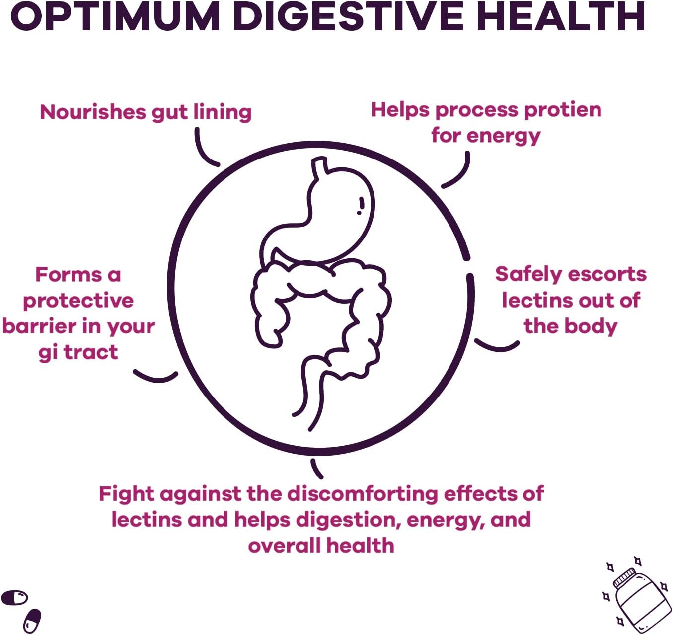 Lectin Defense Supplement with MSM and Digestive Enzymes for Intestinal Health - Non-GMO, Gluten Free - 60 Capsules