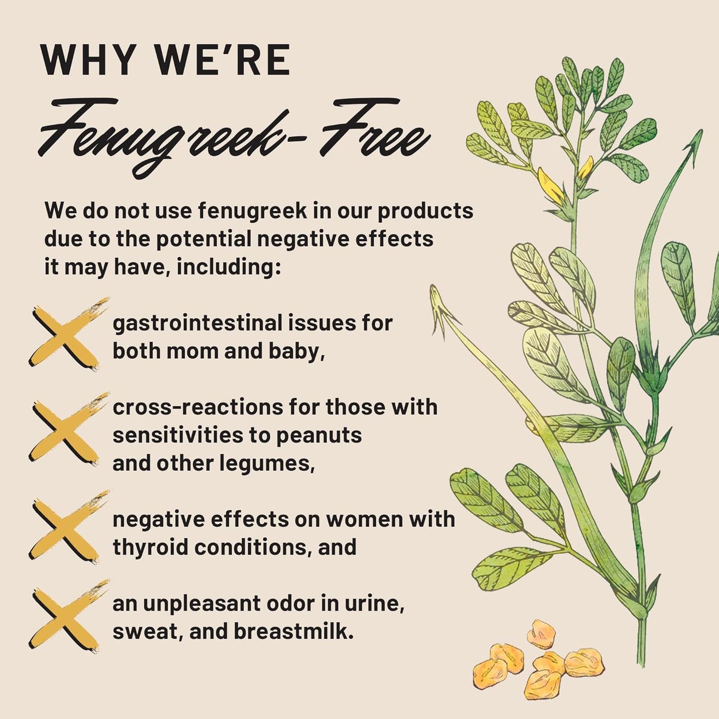 Legendairy Milk Sunflower Lecithin and Cash Cow Breastfeeding Supplements for Milk Supply & Clogged Ducts - Lactation Support without Fenugreek