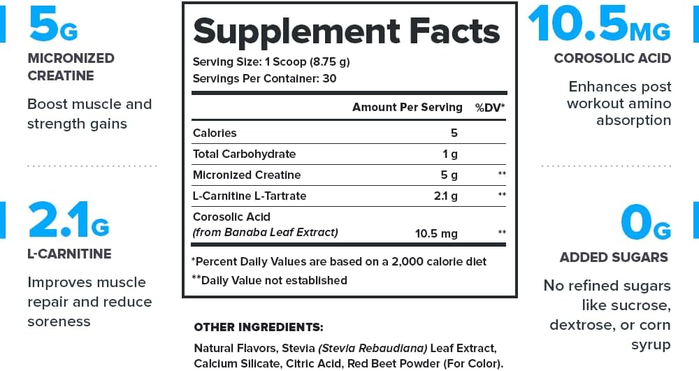 Legion Recharge: Micronized Creatine Monohydrate Post-Workout Recovery Drink, Muscle Builder & Booster - Strawberry Lemonade, 30 Servings