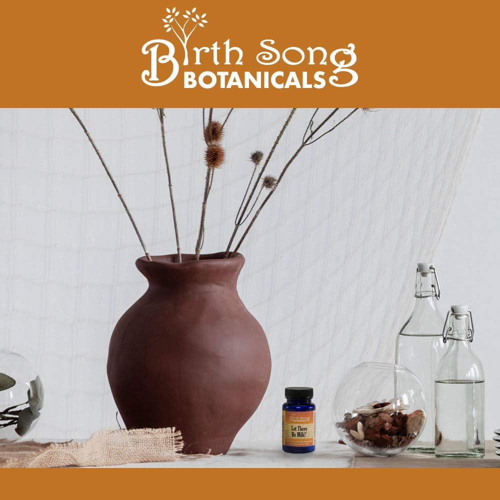Let There Be Milk! Herbal Breastfeeding Support Supplement - 60 Vegetarian Liquid Capsules