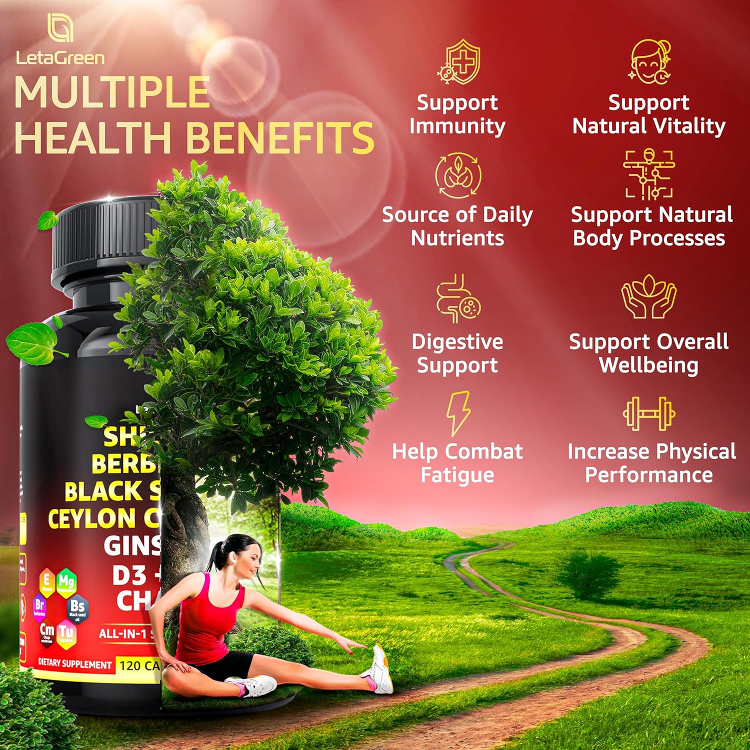 LetaGreen Pure Himalayan Shilajit Capsules - Fulvic Acid Supplement with Berberine, Ceylon Cinnamon, Black Seed Oil, and Ginseng - Pack of 2