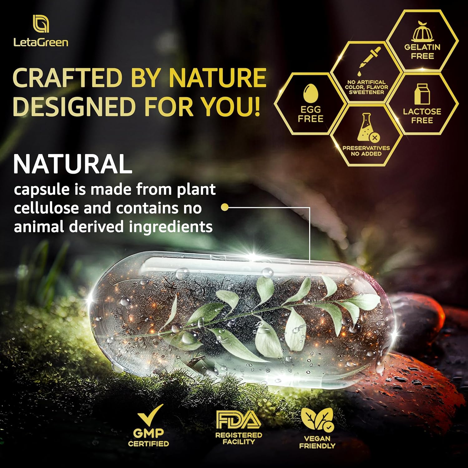 LetaGreen Pure Himalayan Shilajit Capsules - Fulvic Acid Supplement with Berberine, Ceylon Cinnamon, Black Seed Oil, and Ginseng - Pack of 2