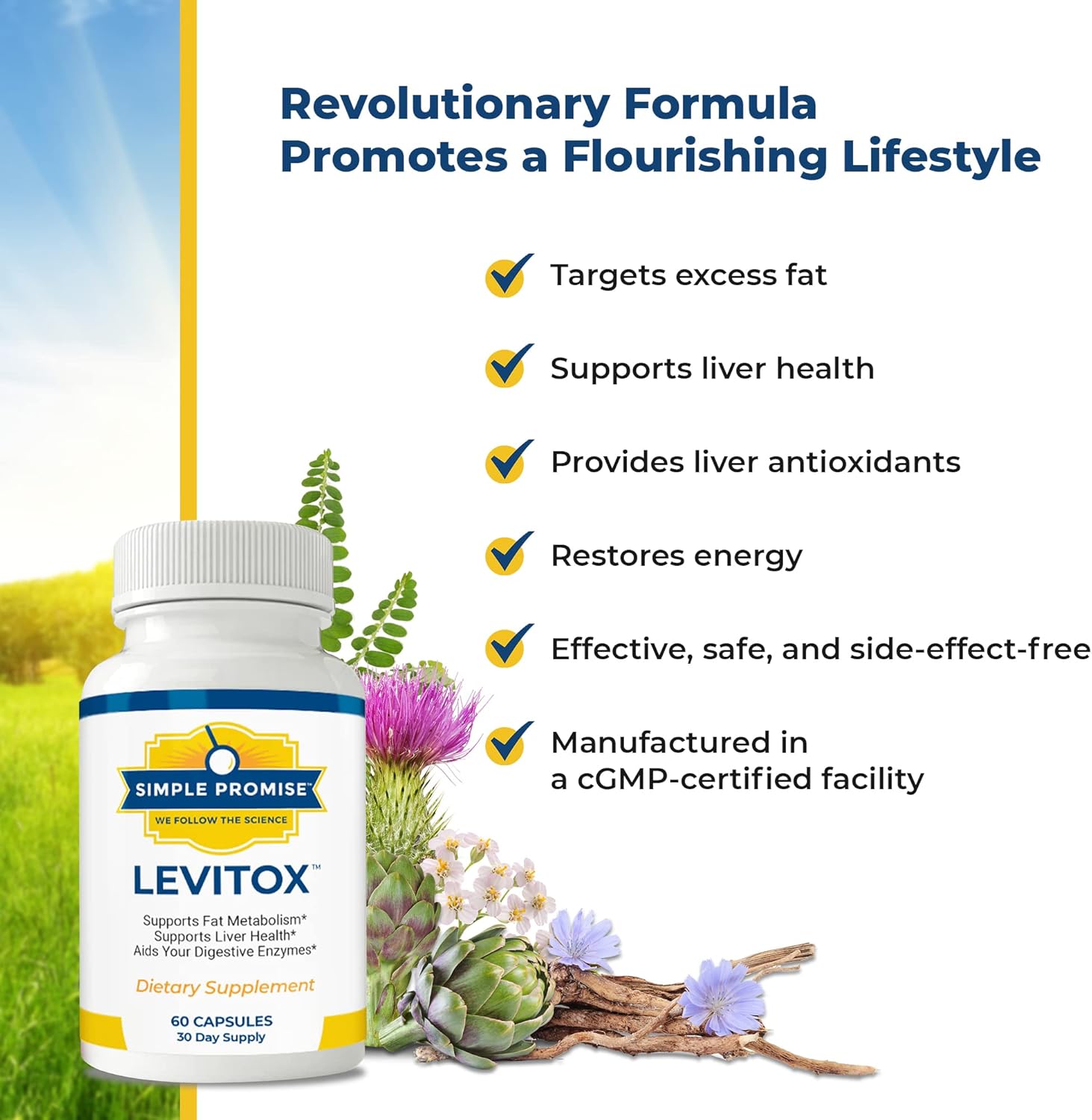 Levitox: Advanced Weight and Liver Support Supplement with Digestive Enzymes - 60 Capsules